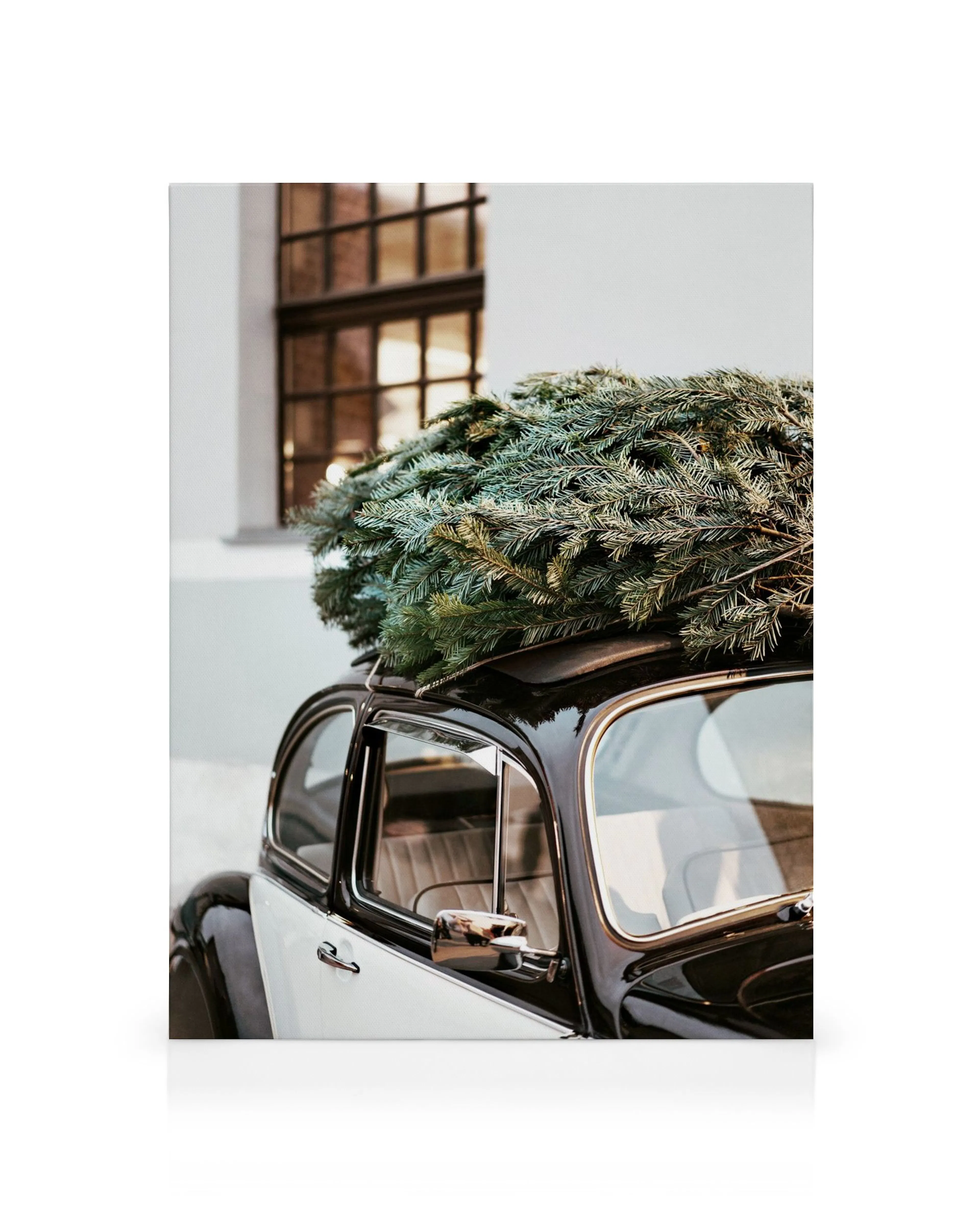 Black and white vintage car with a Christmas tree on its roof, parked in front of a window, a canvas print.