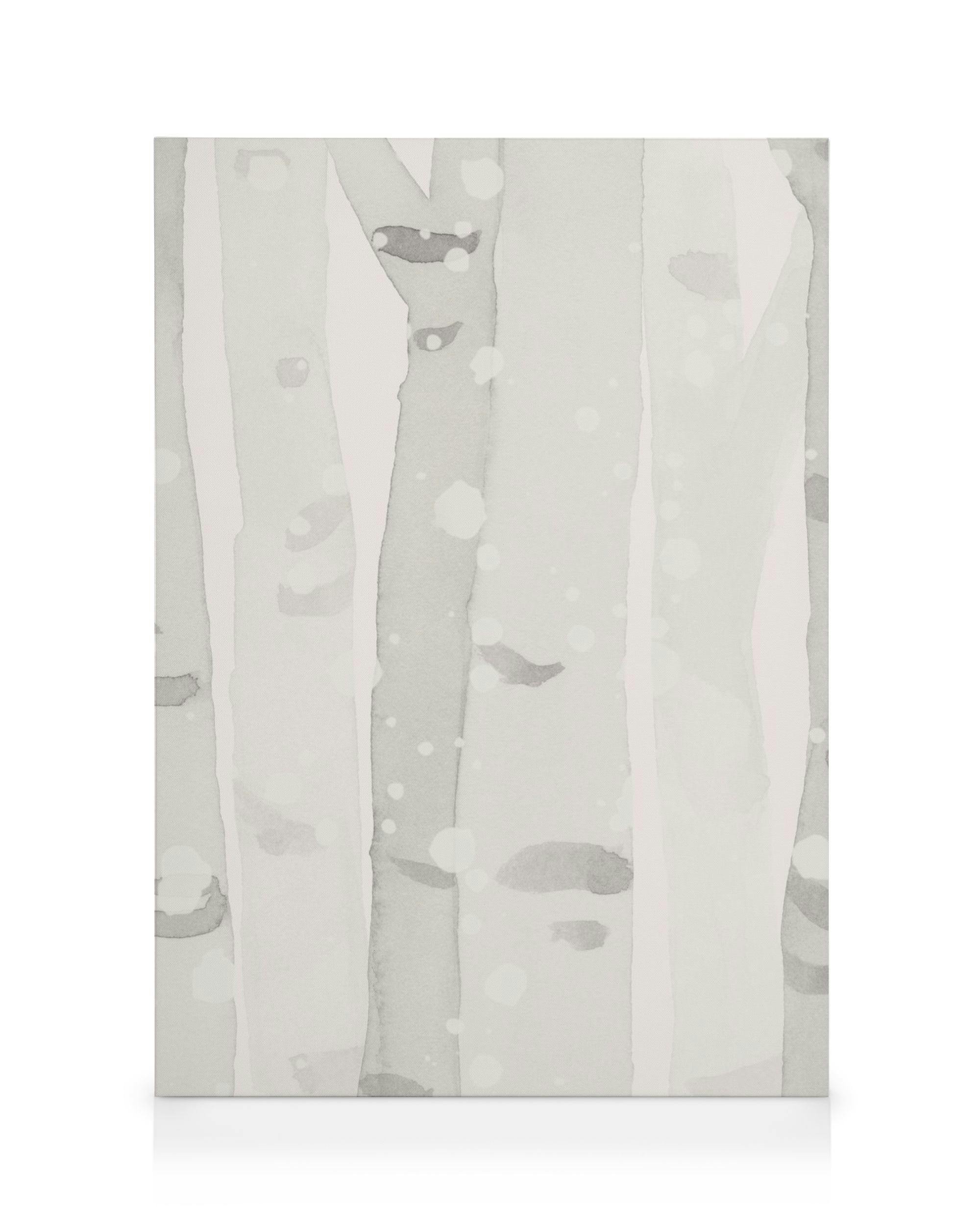 Canvas Prints Birch Forest Canvas print (30x40 cm)