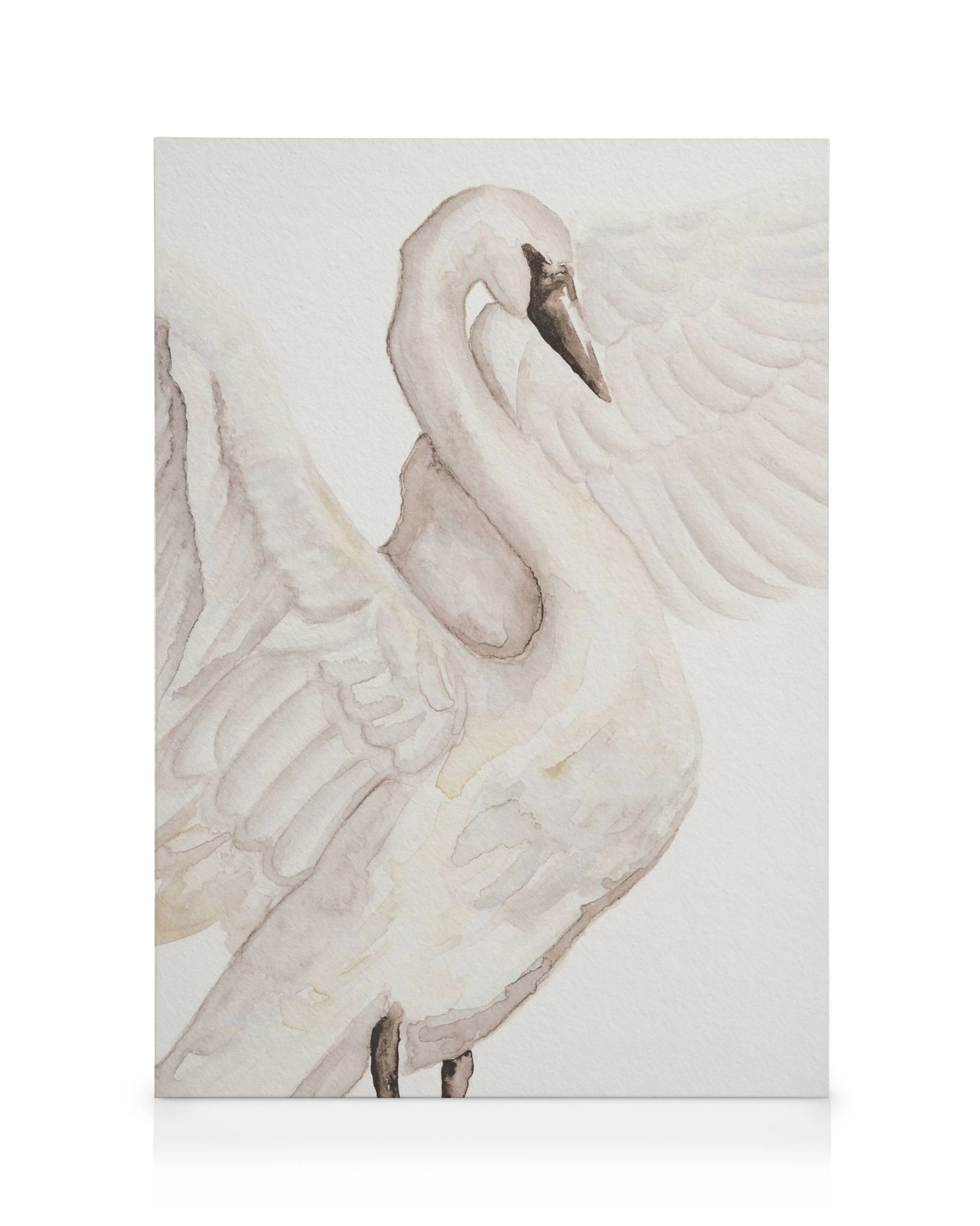 Akvarel svane lærred, elegant hvid svane med udslåede vinger, kunst til væg, fuglemotiv