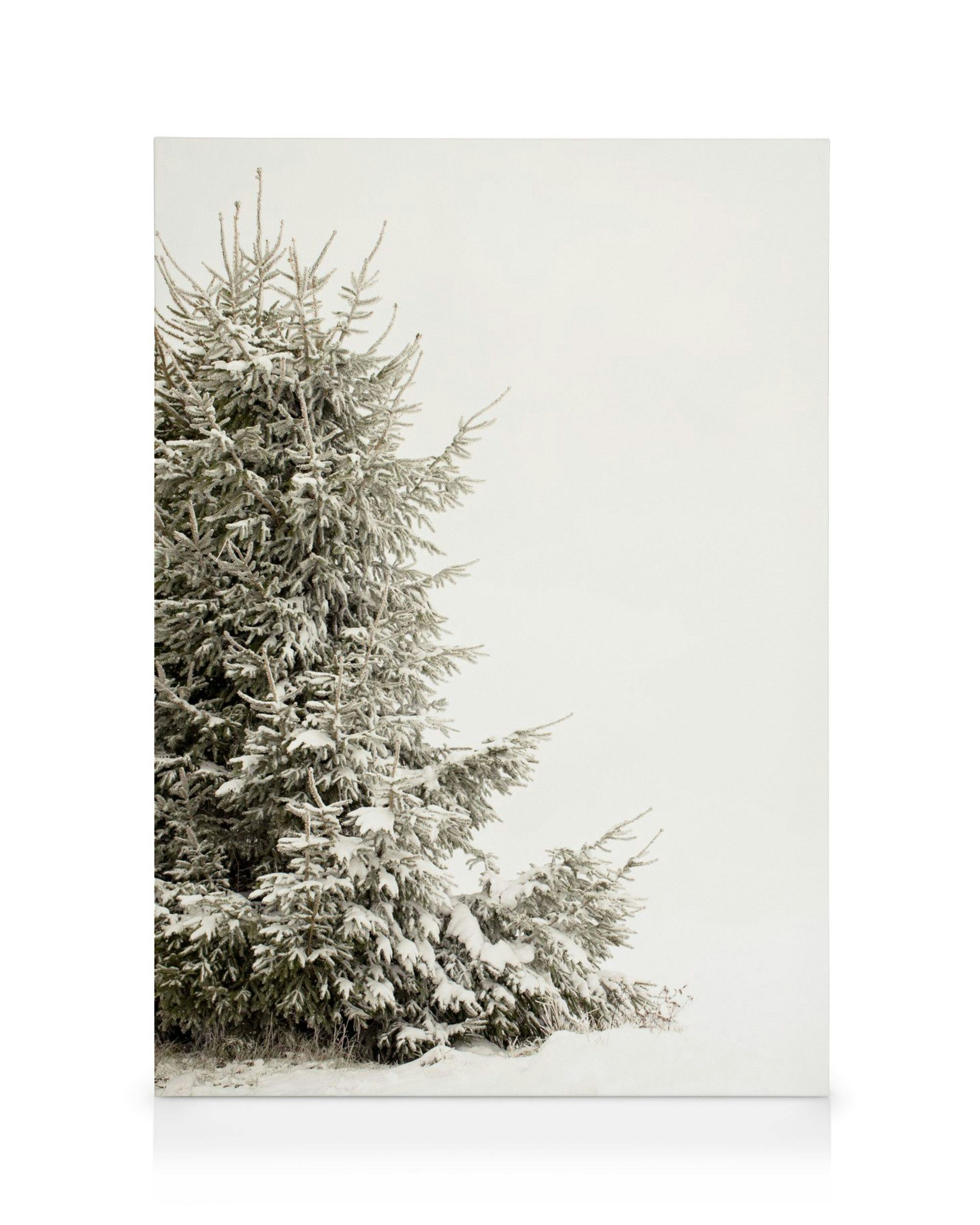 Snowy Holiday Tree Lerret (50x70 cm)