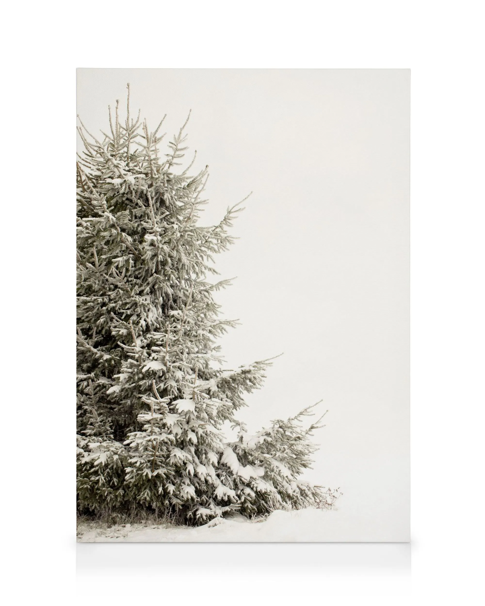 Stampa su tela di un albero di Natale sempreverde coperto di neve, con cielo bianco invernale.