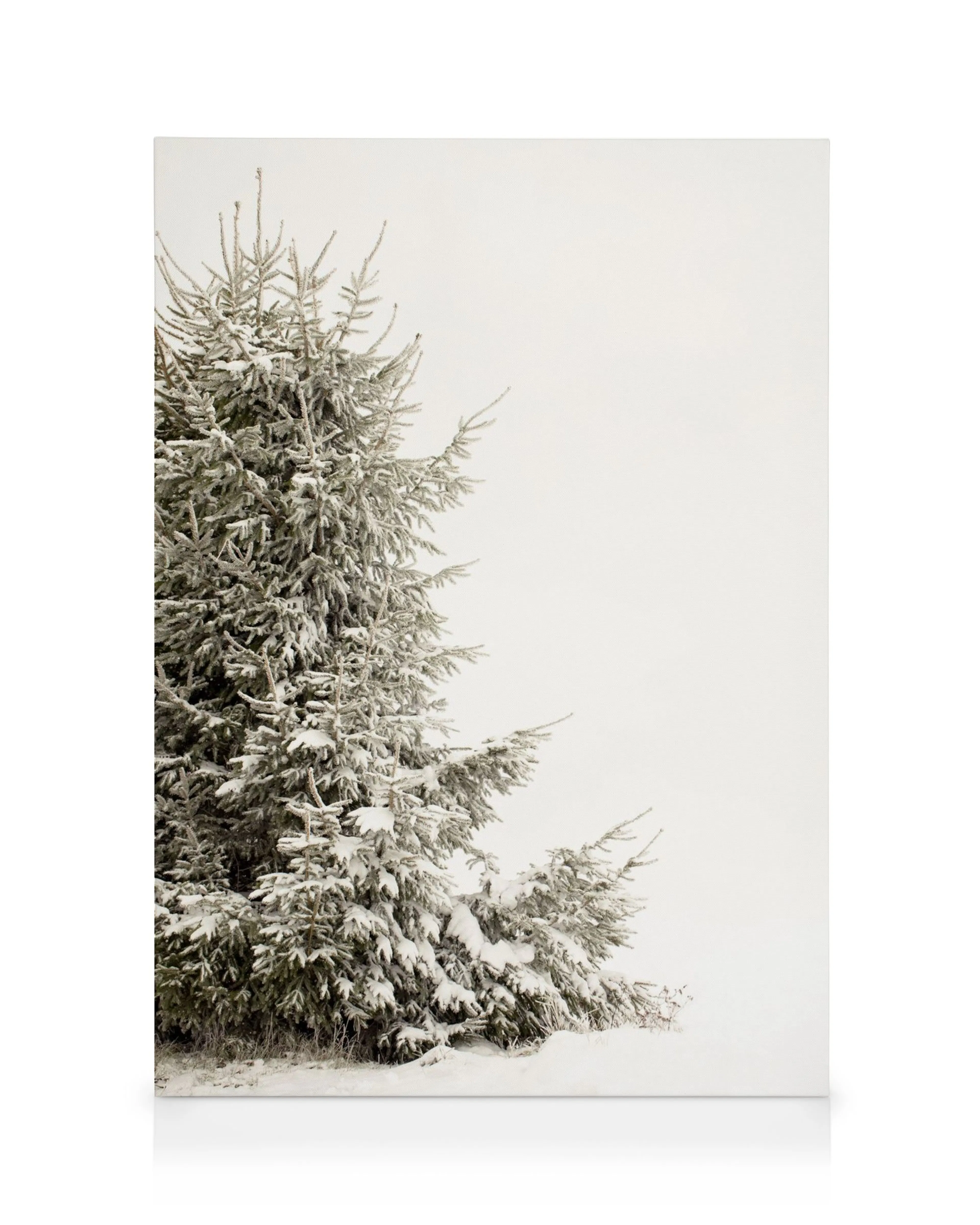 Stampa su tela di un albero di Natale sempreverde coperto di neve, con cielo bianco invernale.