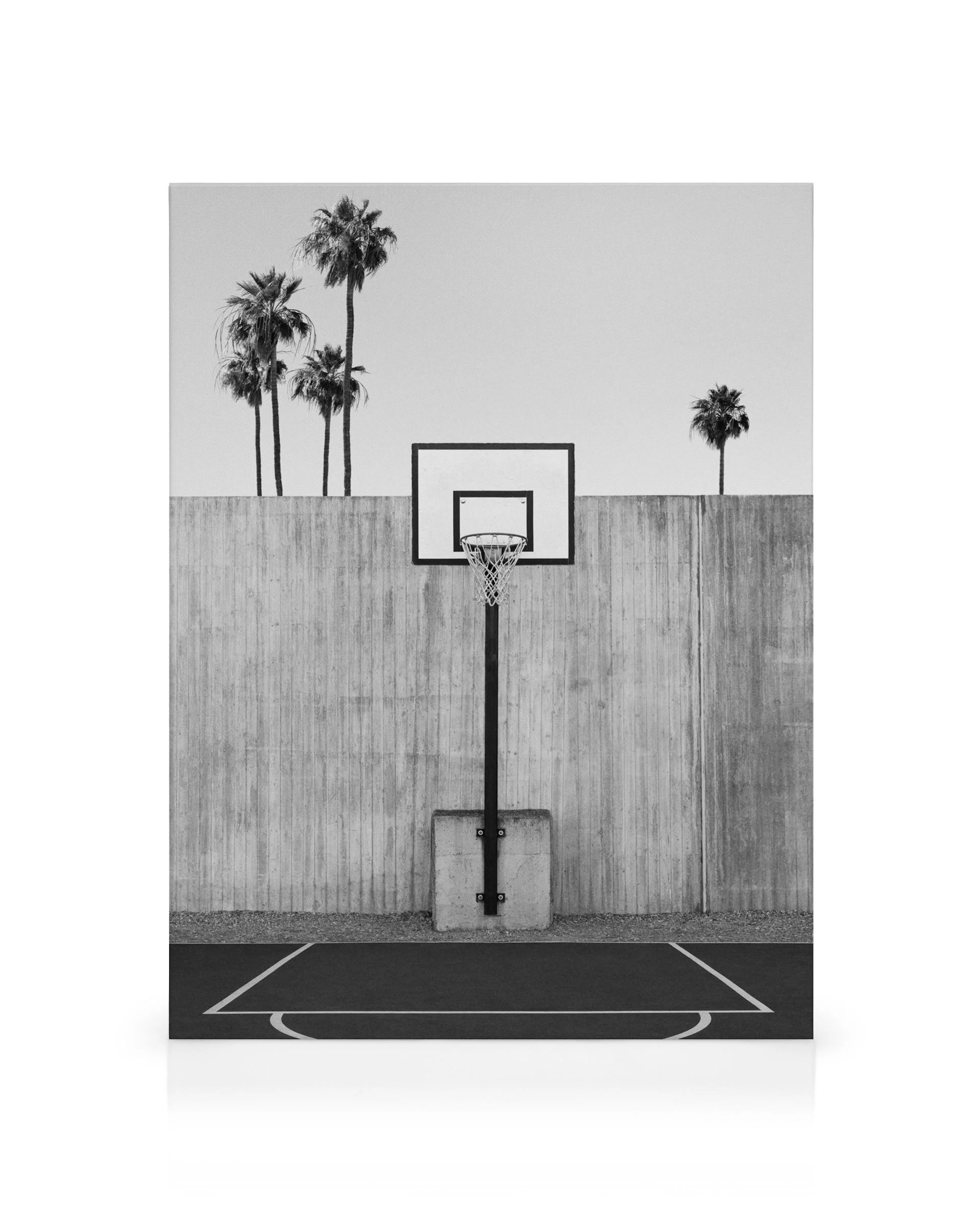 Black and white canvas print of a basketball court with hoop, concrete wall, and palm trees.