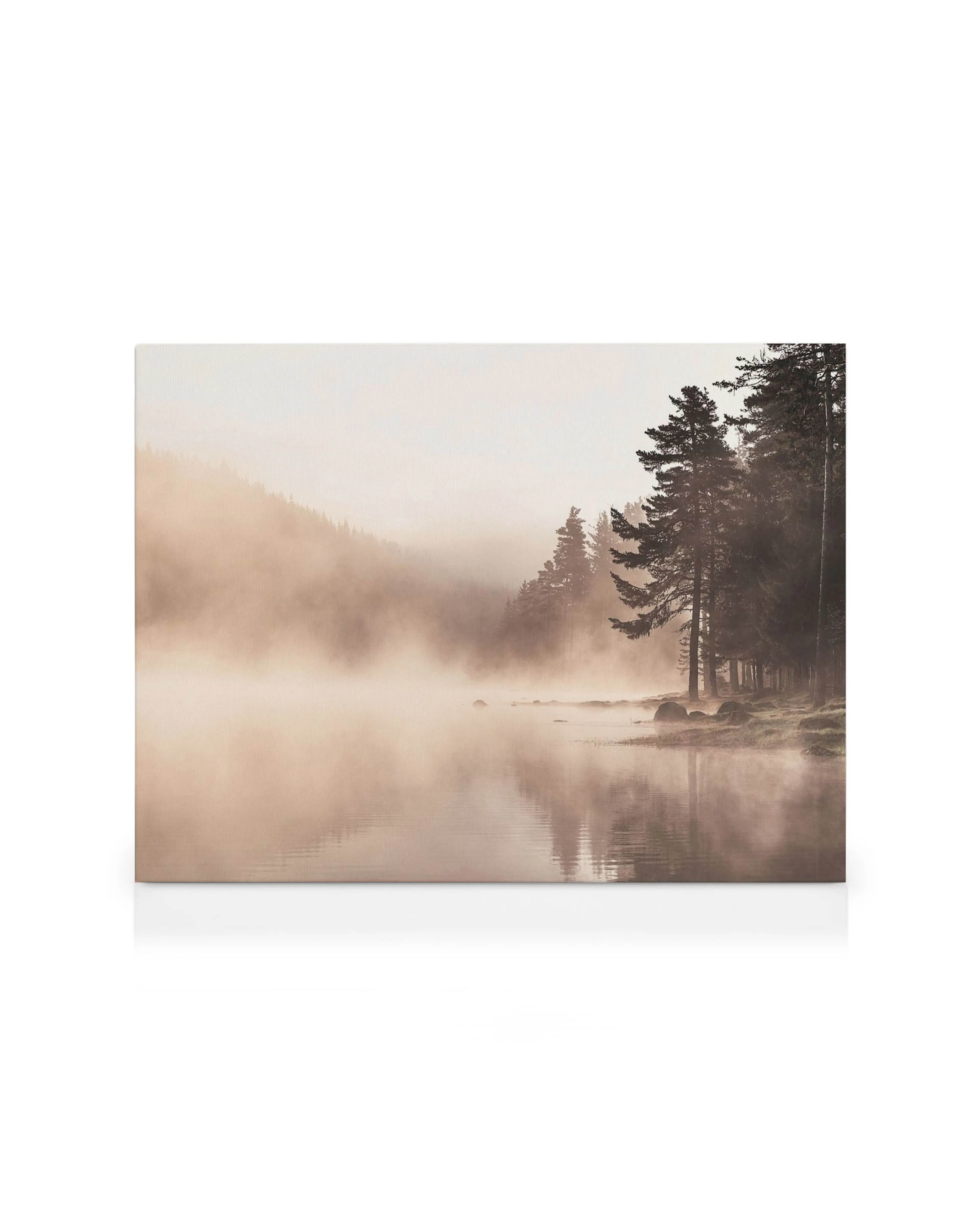 Toile de lac brumeux avec des arbres et leur reflet dans leau, ambiance calme et automne
