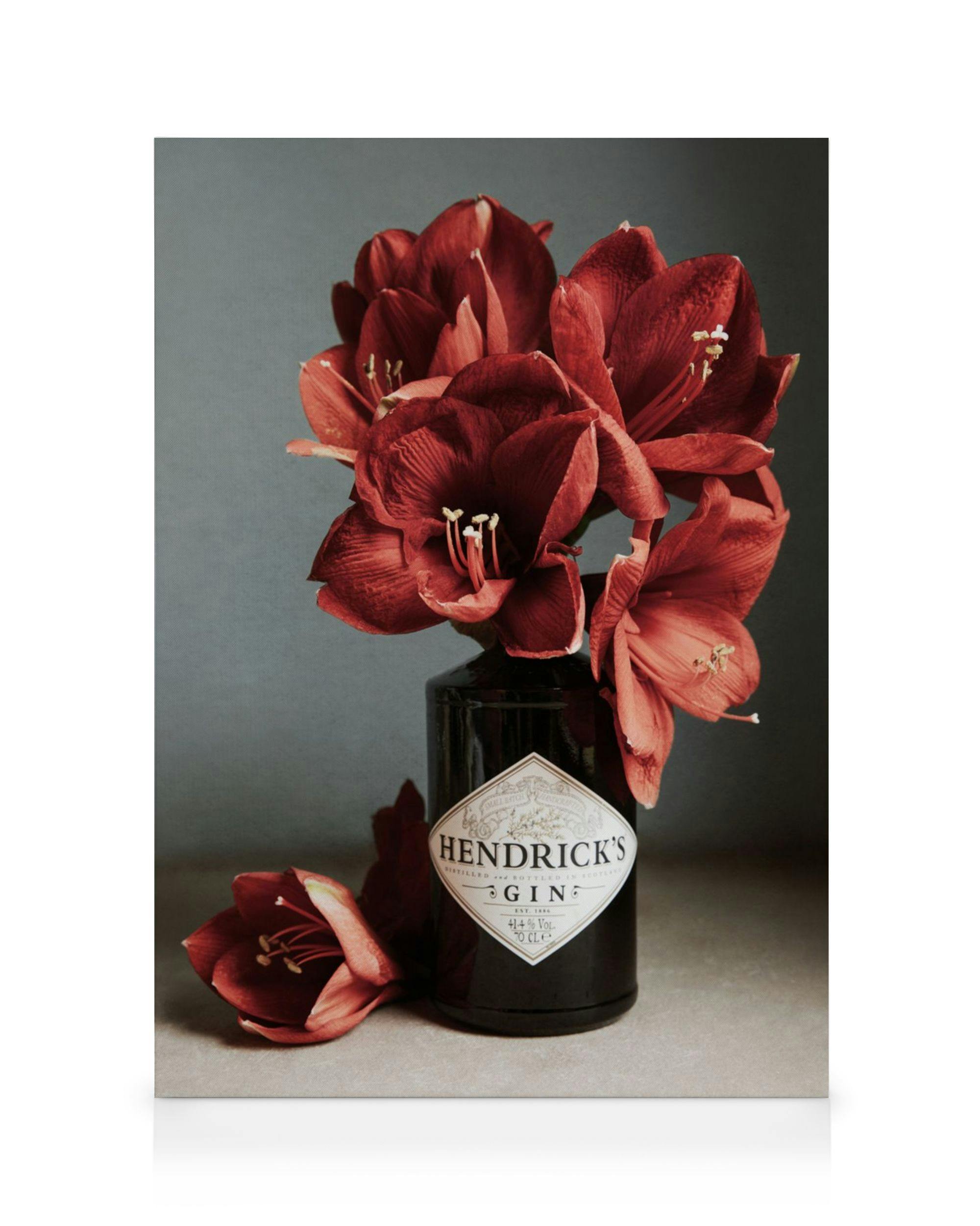 Gin and Red Amaryllis Toile (30x40 cm - Cadre de chêne) - Toiles par Desenio