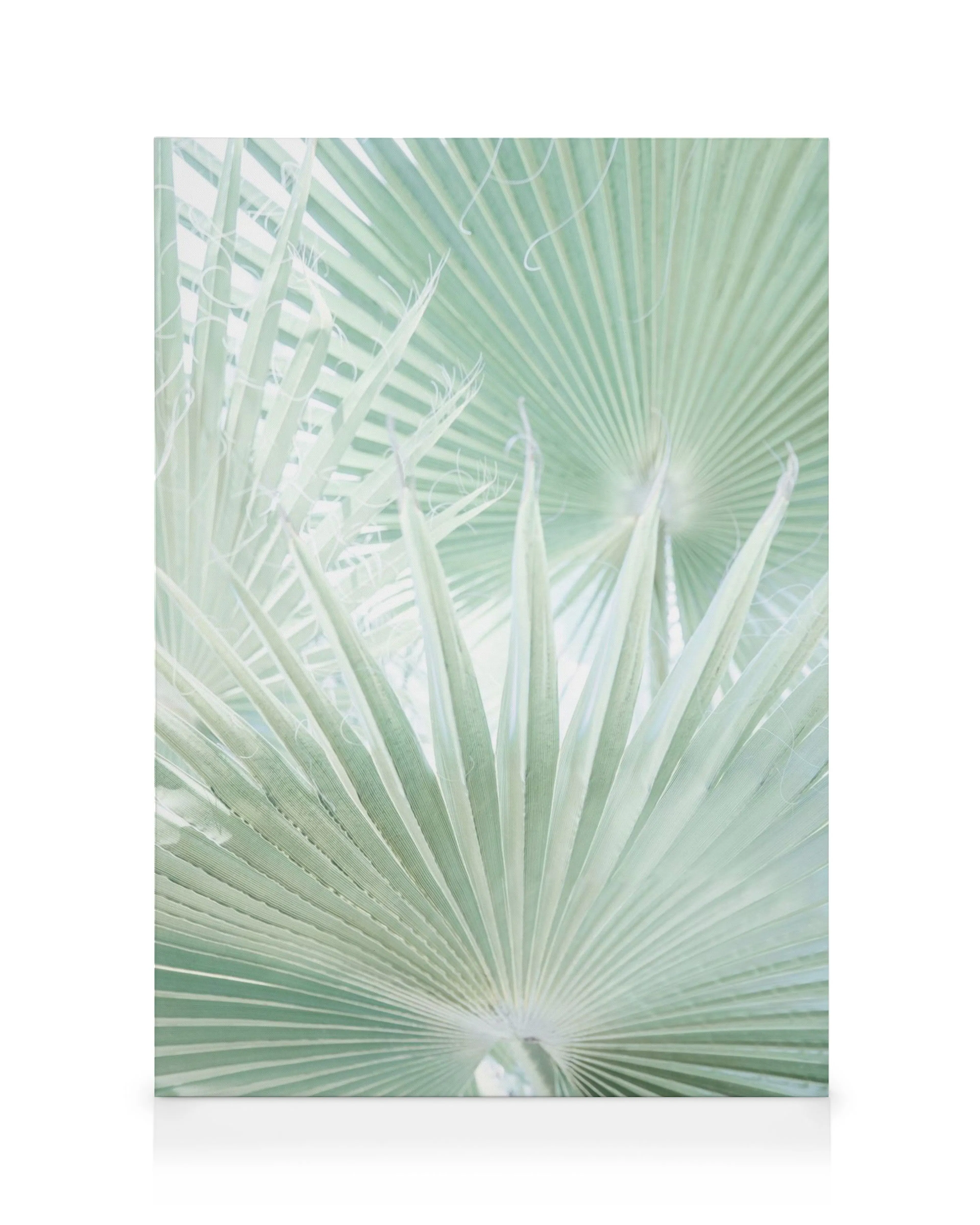 Tela con foglie di palma verde chiaro su sfondo bianco, motivo botanico rilassante, arte da parete.