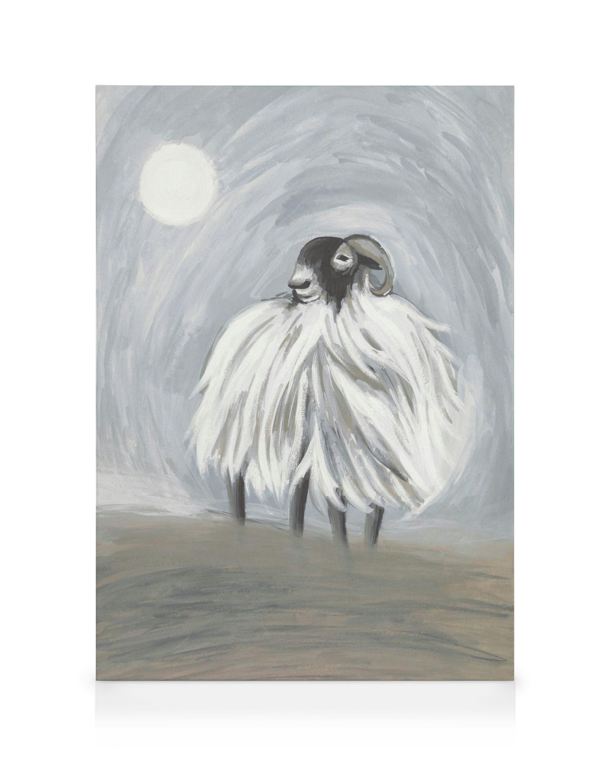 Highland Sheep in Moonlight Lienzo (50x70 cm - Marco de negro)