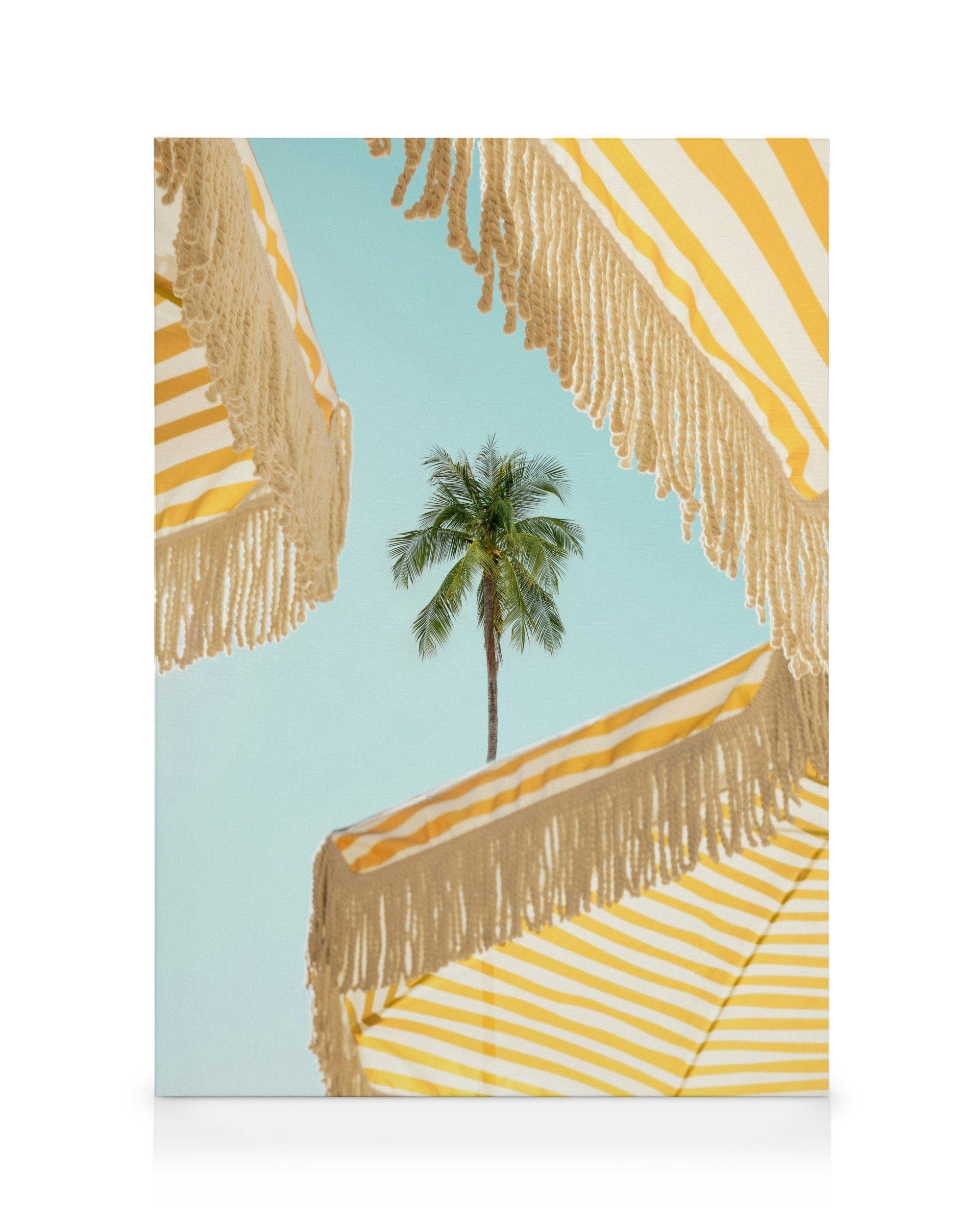 Sunlit Palms Lienzo (30x40 cm - Marco de negro)