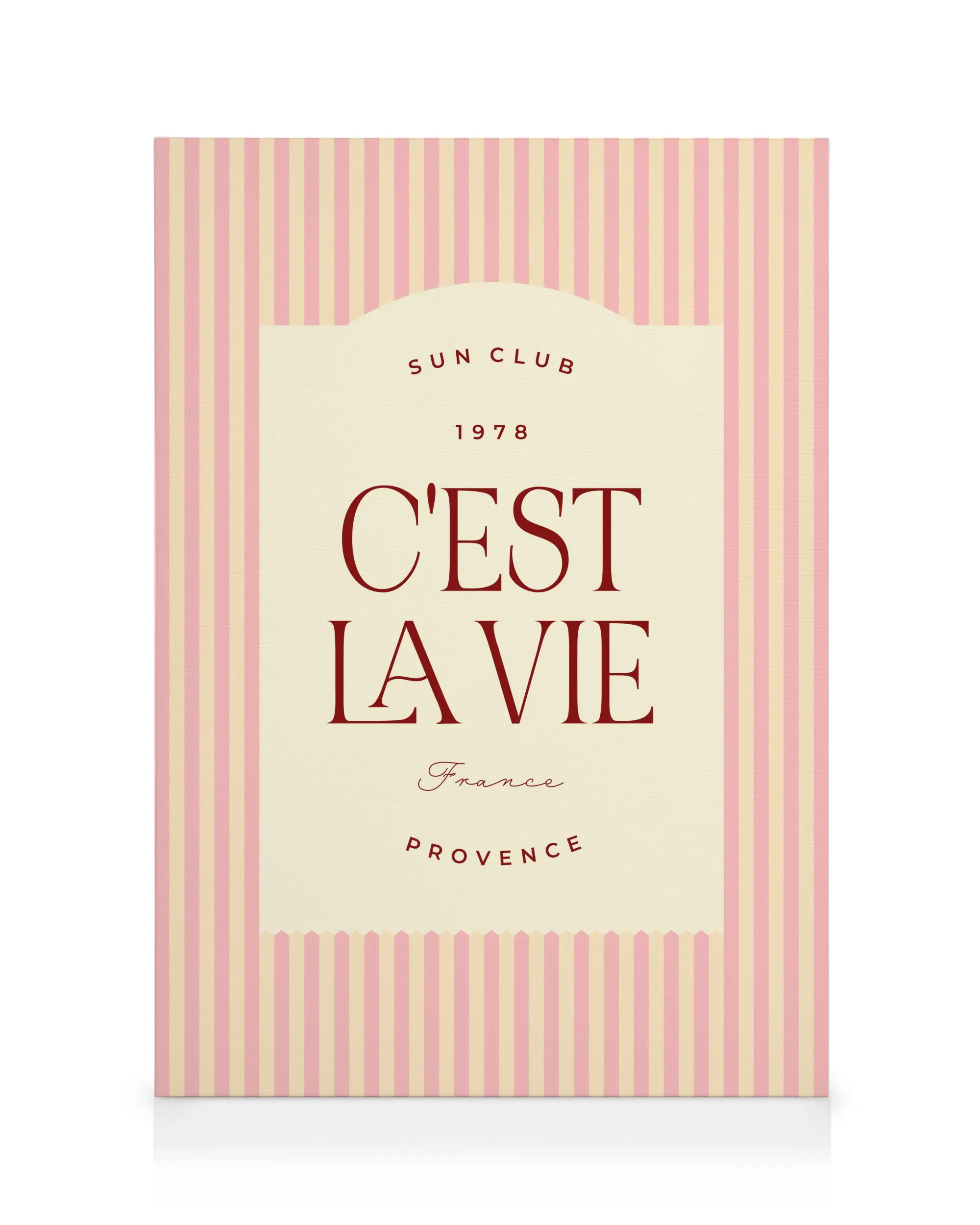 C'est La Vie Obraz na plátně 0