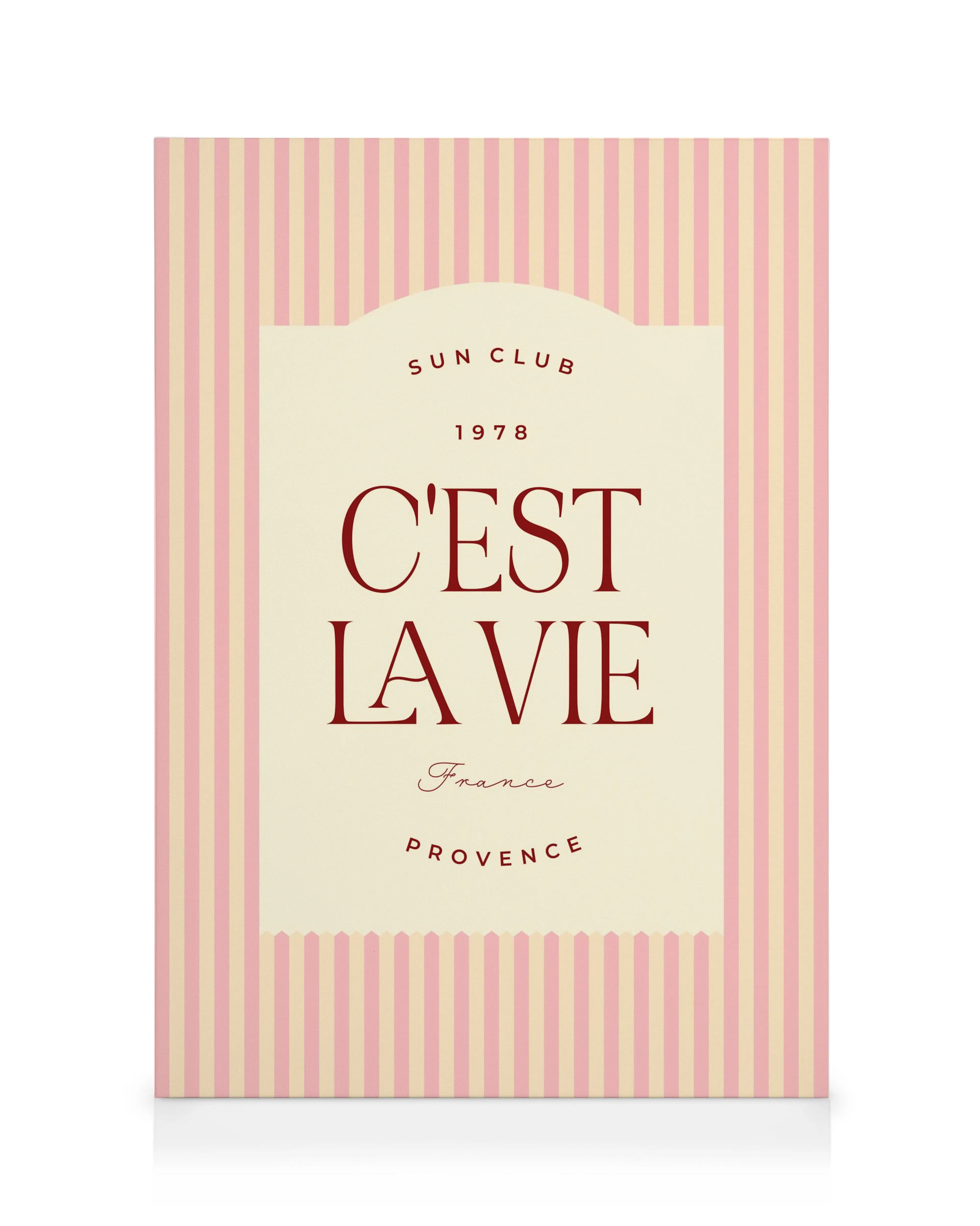 C'est La Vie Obraz na plátně 0