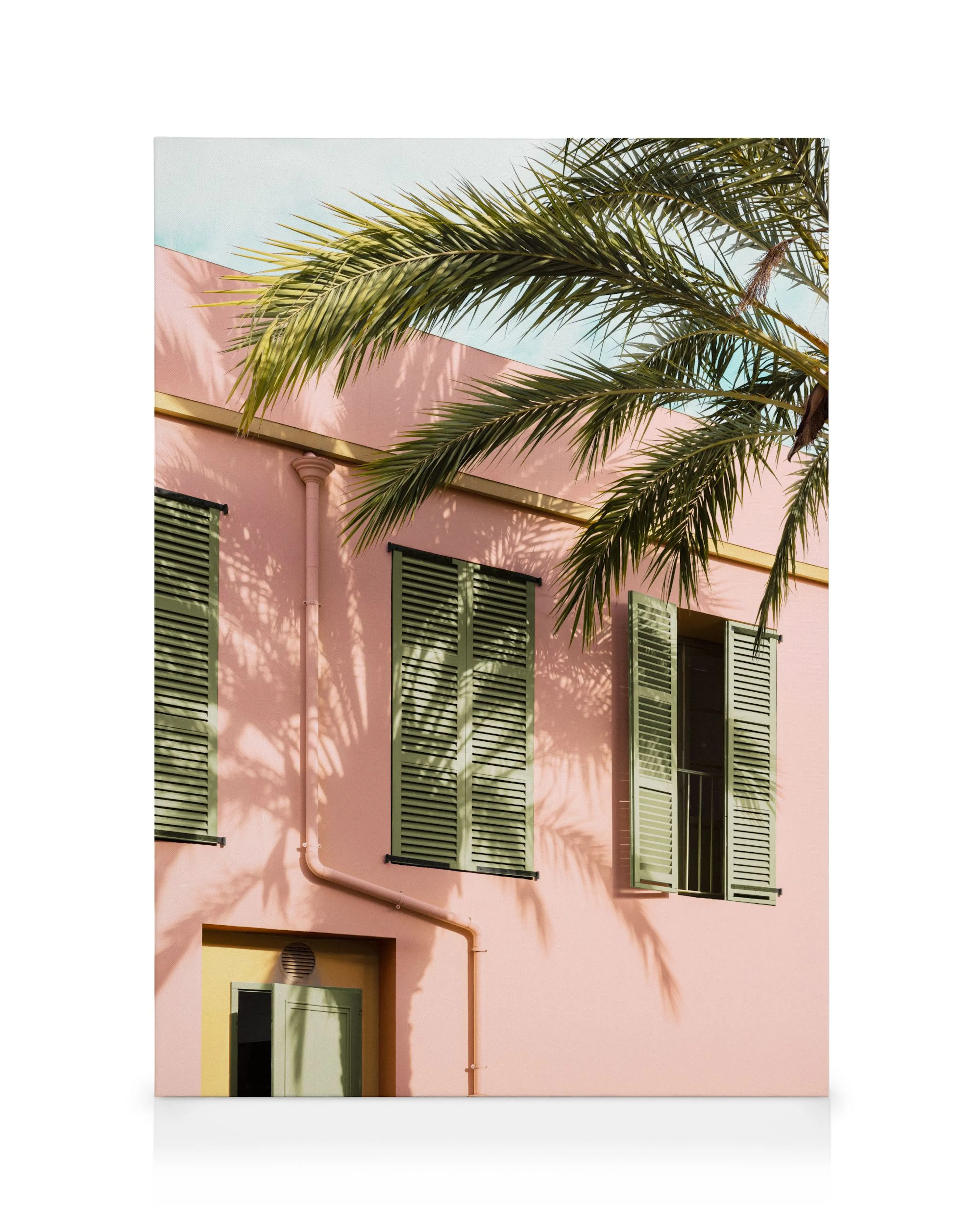 Palm and Pastel Canvas 0
