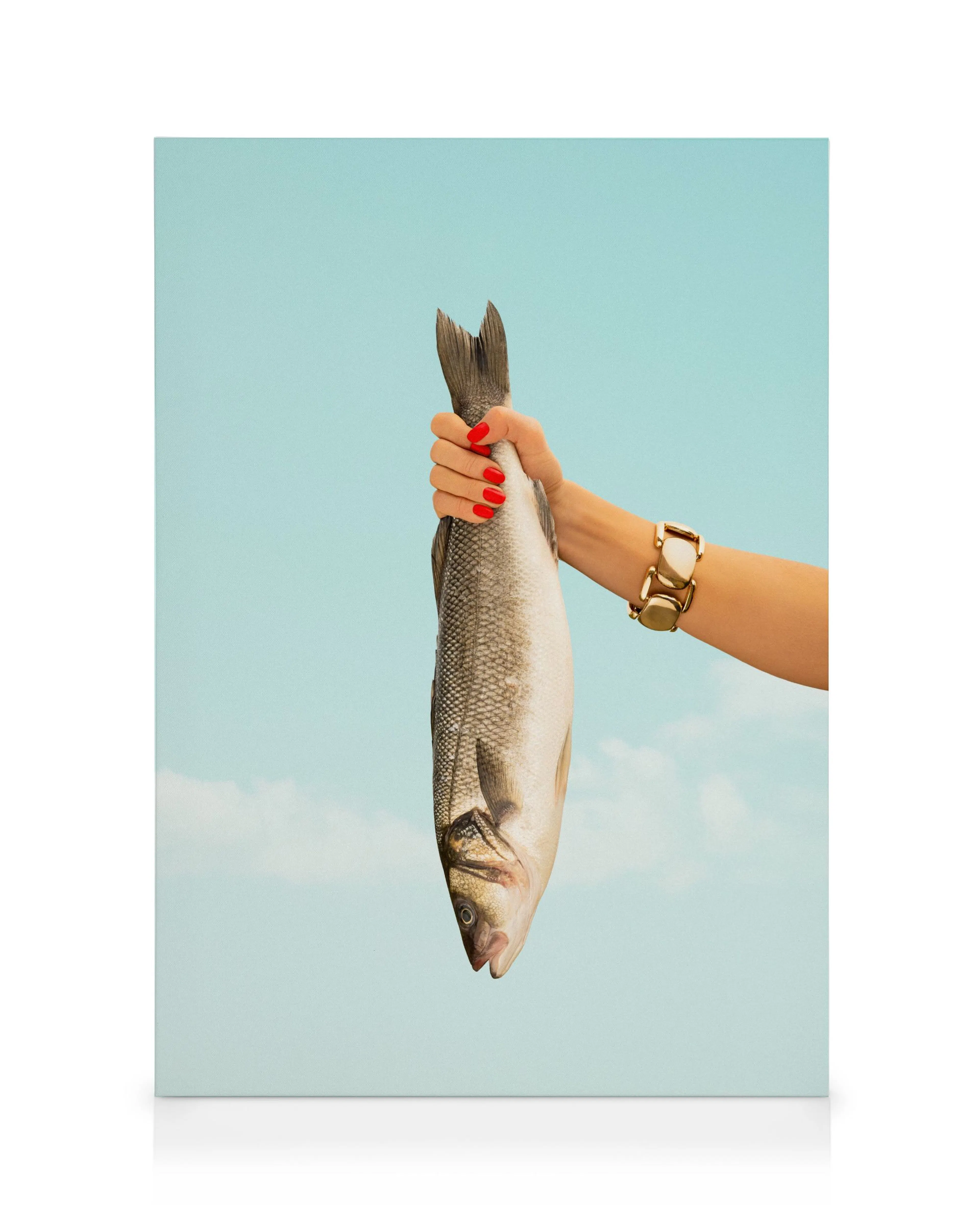 Catch of the Day Obraz na plátně 0