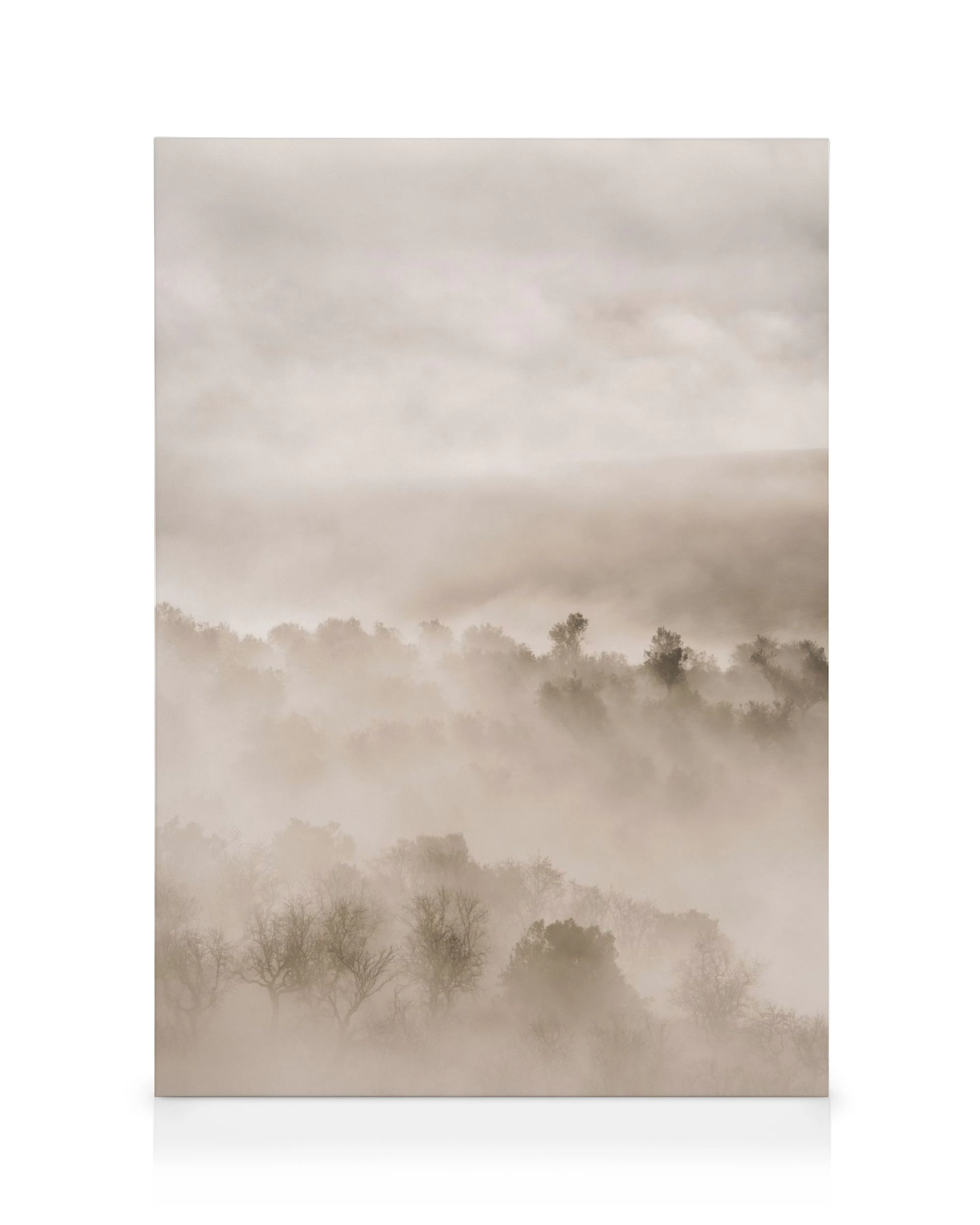 Toile de paysage brumeux avec des arbres émergeant du brouillard et des nuages aux teintes douces, effet éthéré.