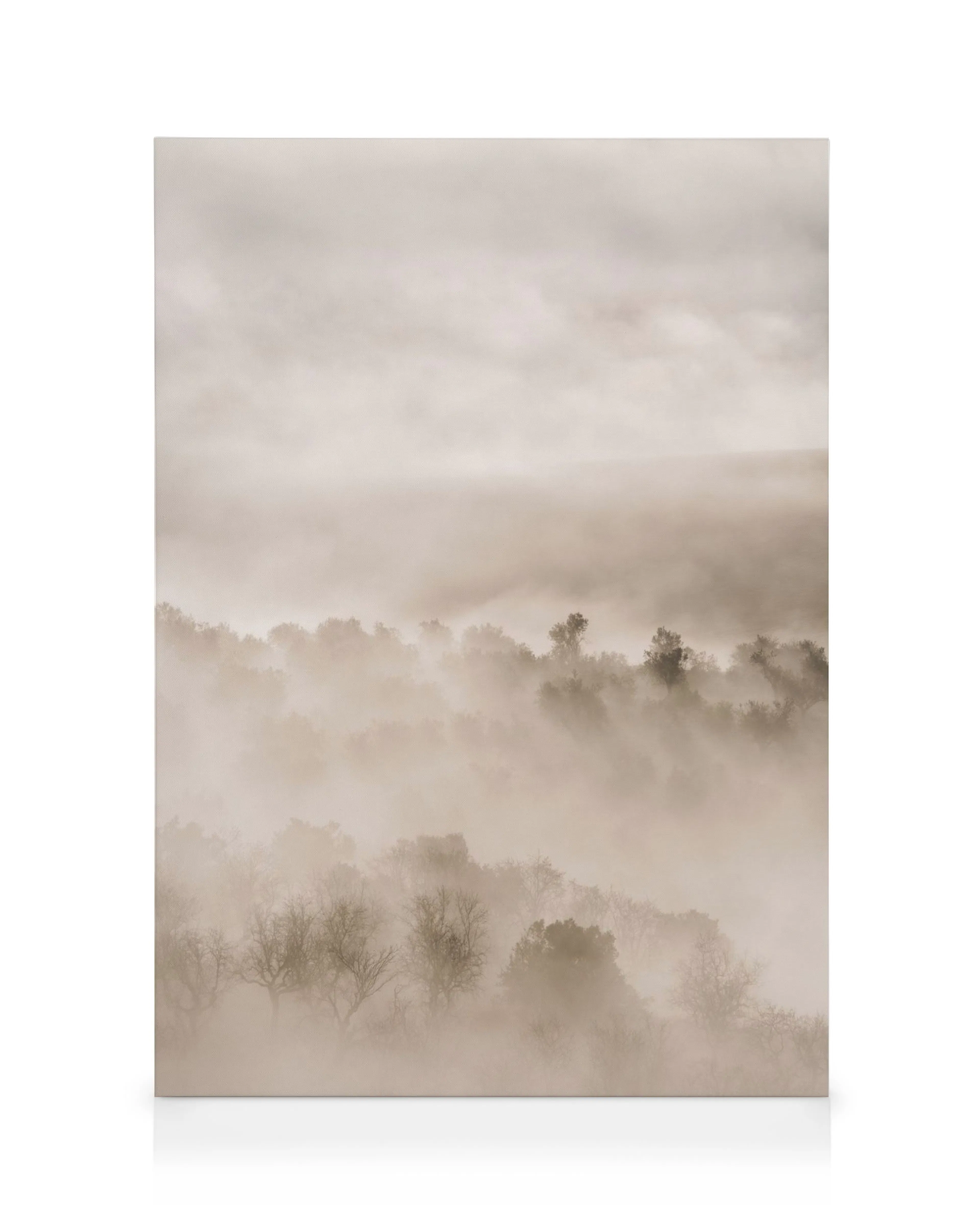 Leinwandbild mit nebelverhangener Waldlandschaft, mystische Atmosphäre, sanfte Sepia-Töne, Naturmotiv.