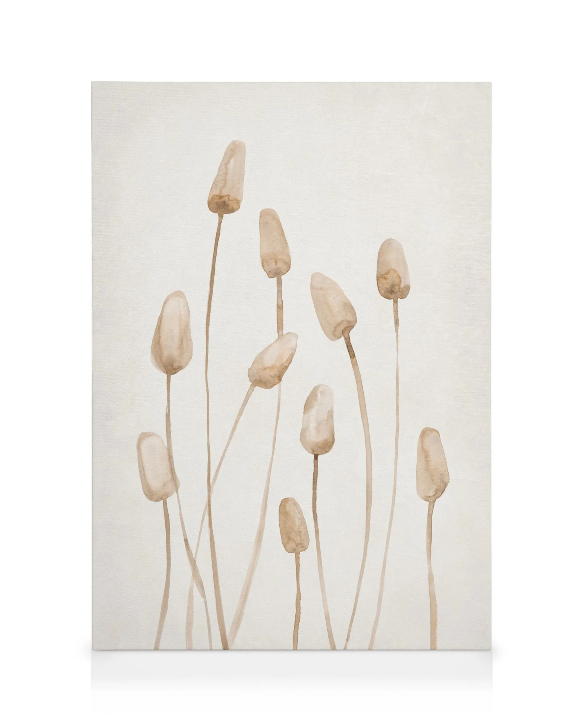 Stampa su tela con undici piante secche color marrone chiaro su sfondo beige, arte murale botanica.