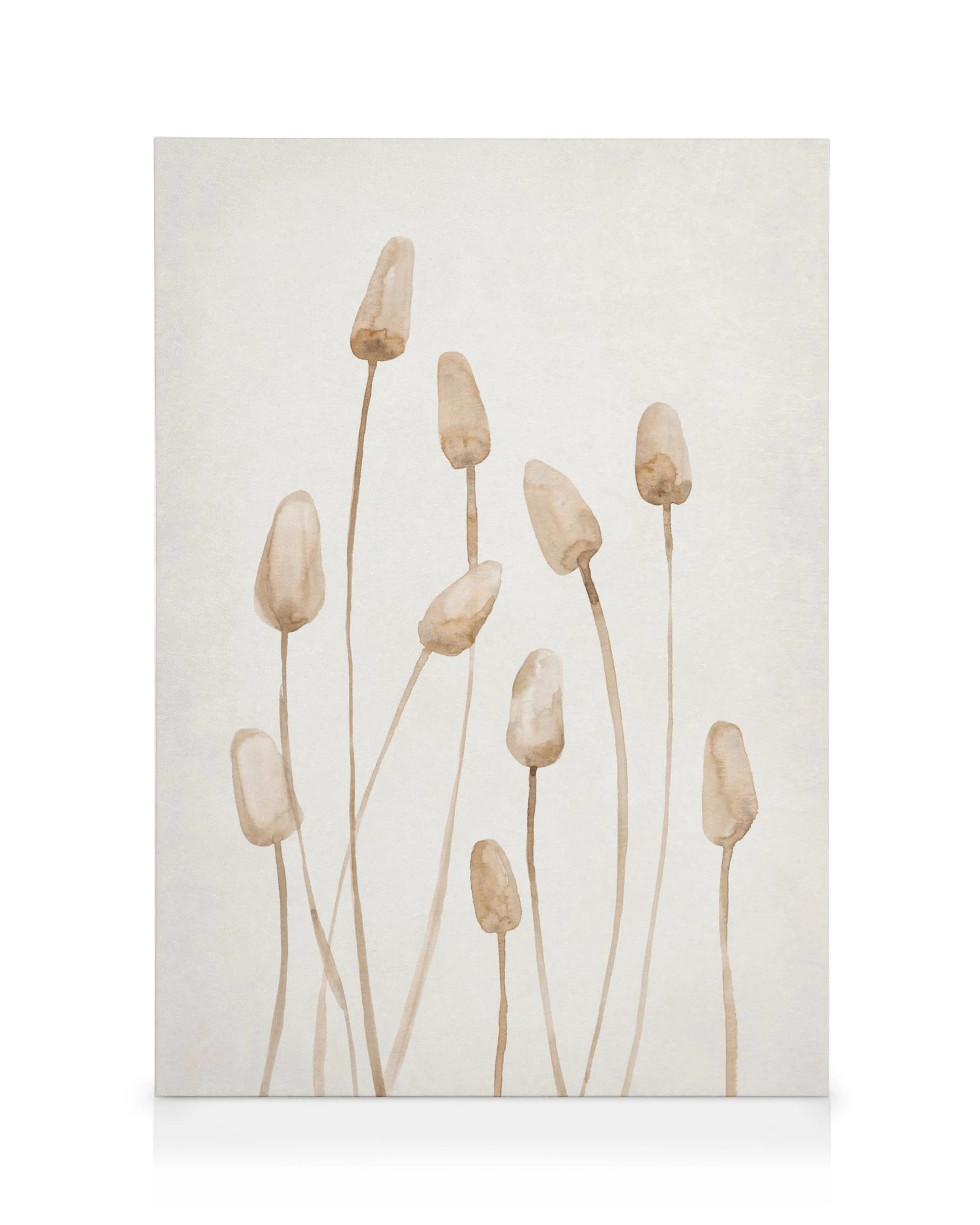 Stampa su tela con undici piante secche color marrone chiaro su sfondo beige, arte murale botanica.