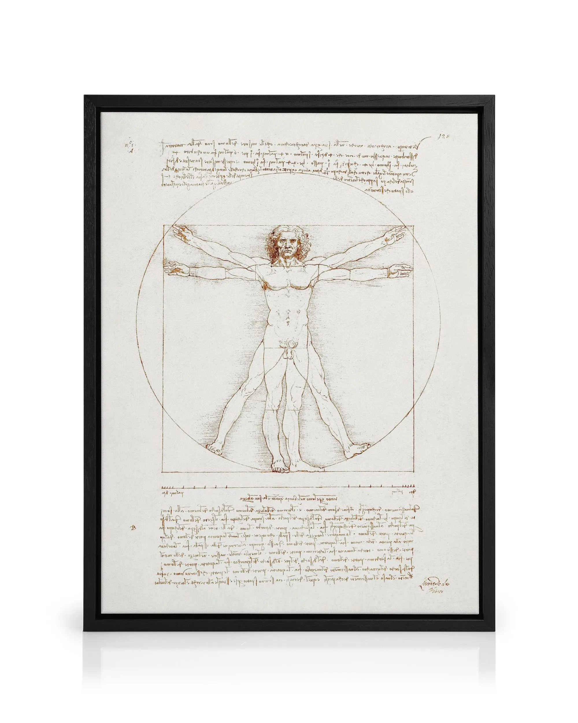Leonardo Da Vincis Vitruvianischer Mann, eine detaillierte Zeichnung einer männlichen Figur auf gealtertem Papier in Braun- und