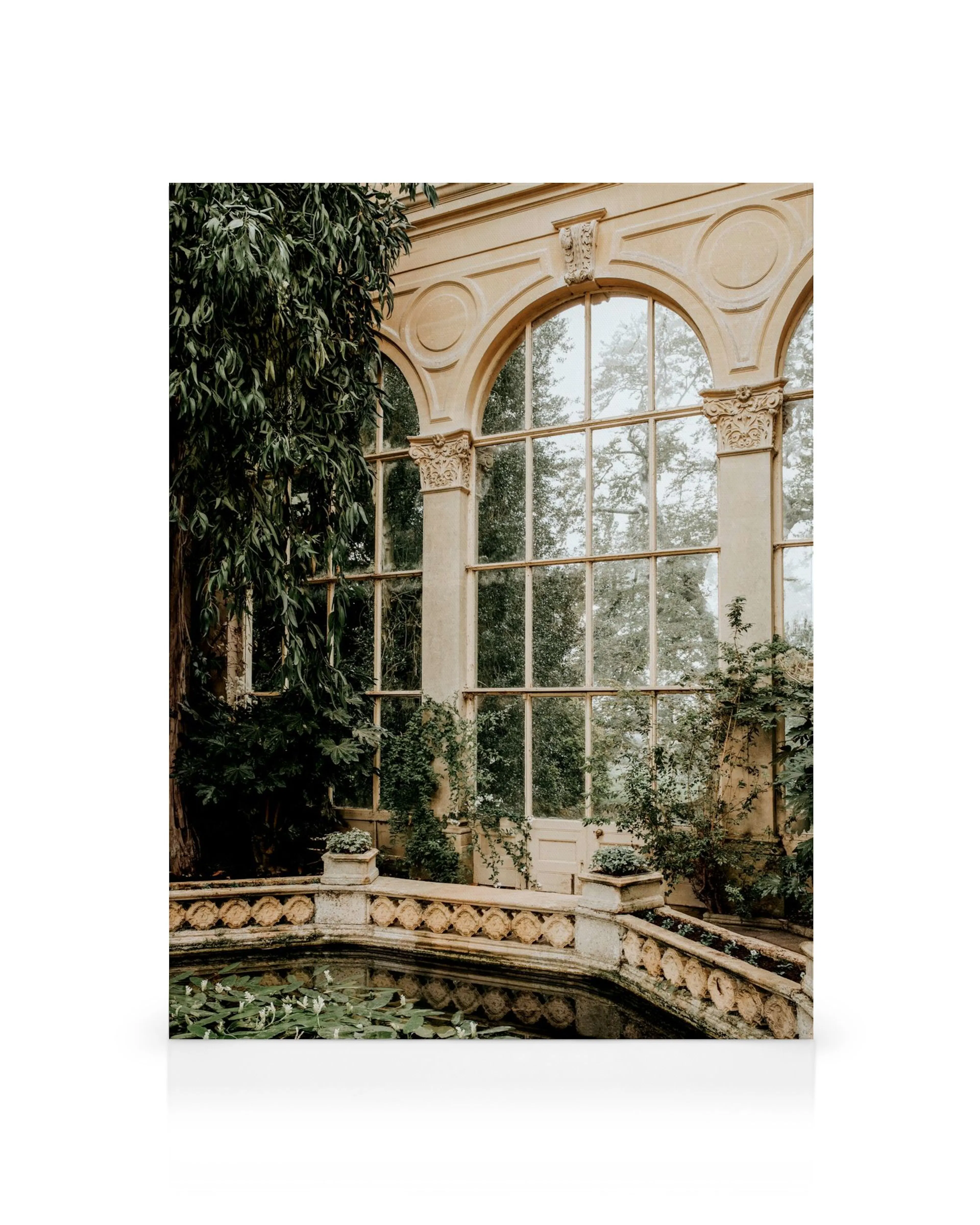 Ventana arqueada con estanque de lirios, vegetación exuberante tonos beige y gris apagados, lienzo de invernadero enriquecido.