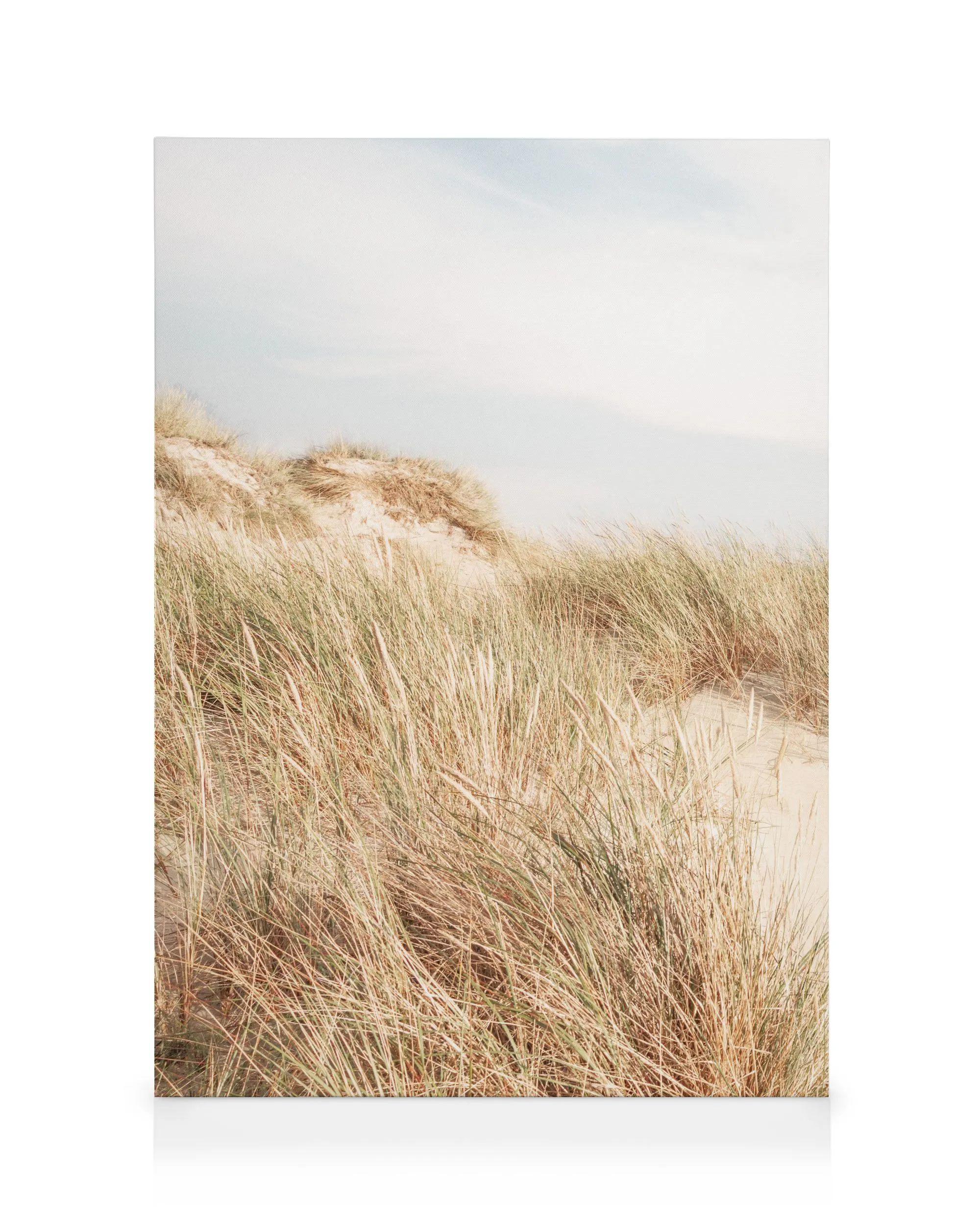 Shorelines No1 Stampa su Tela 0