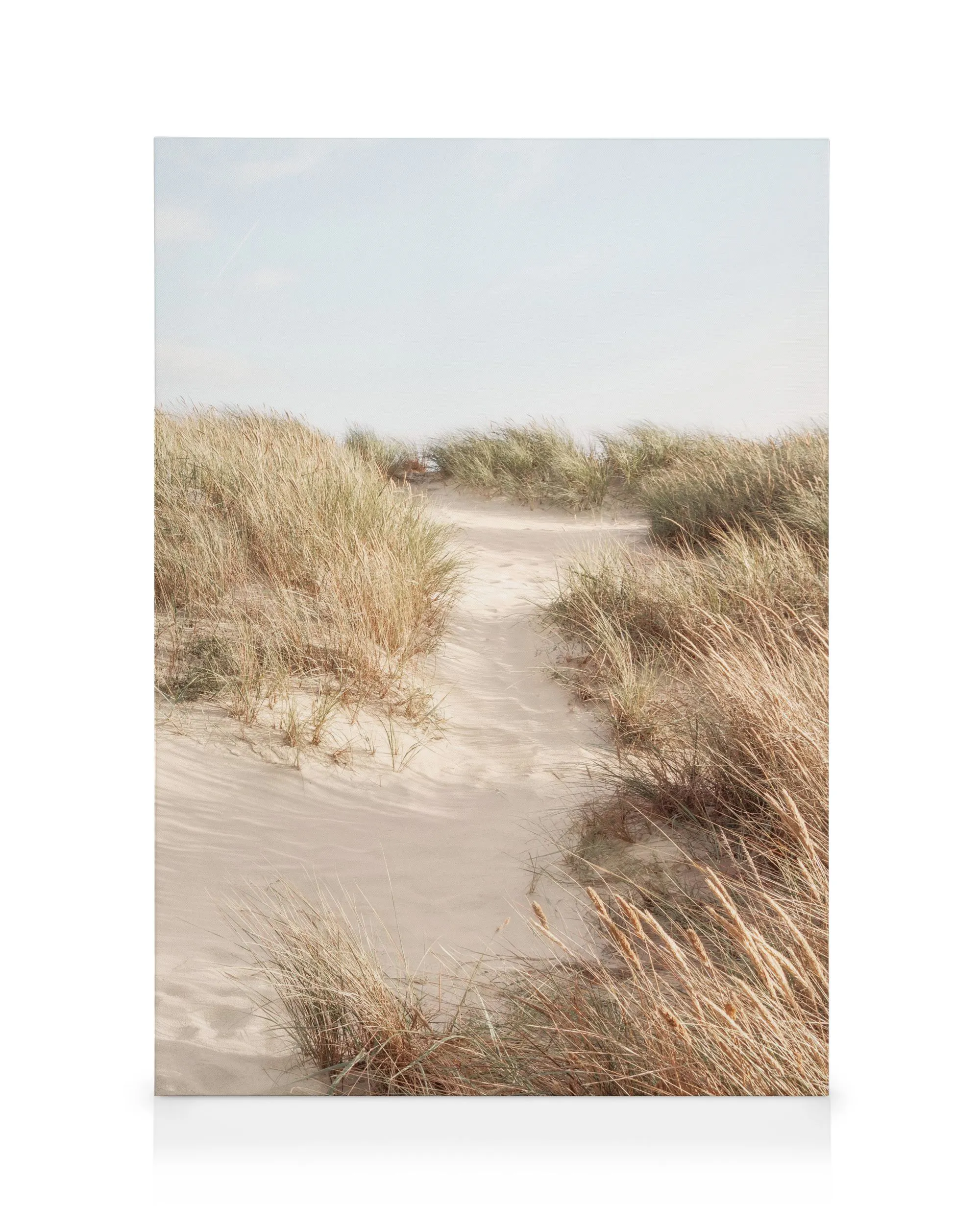 Shorelines No3 Toile 0