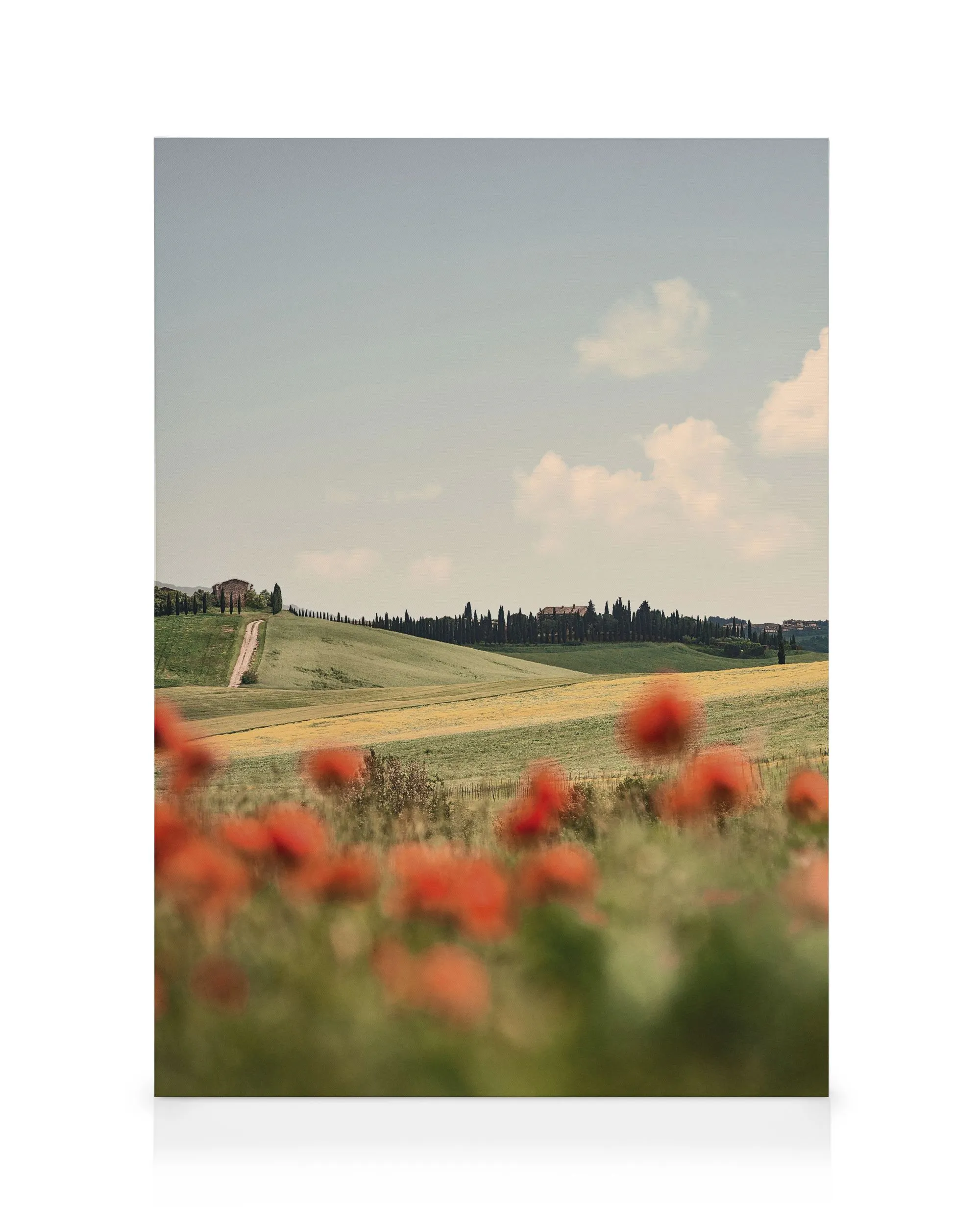 Tuscan Poppies No1 Stampa su Tela 0
