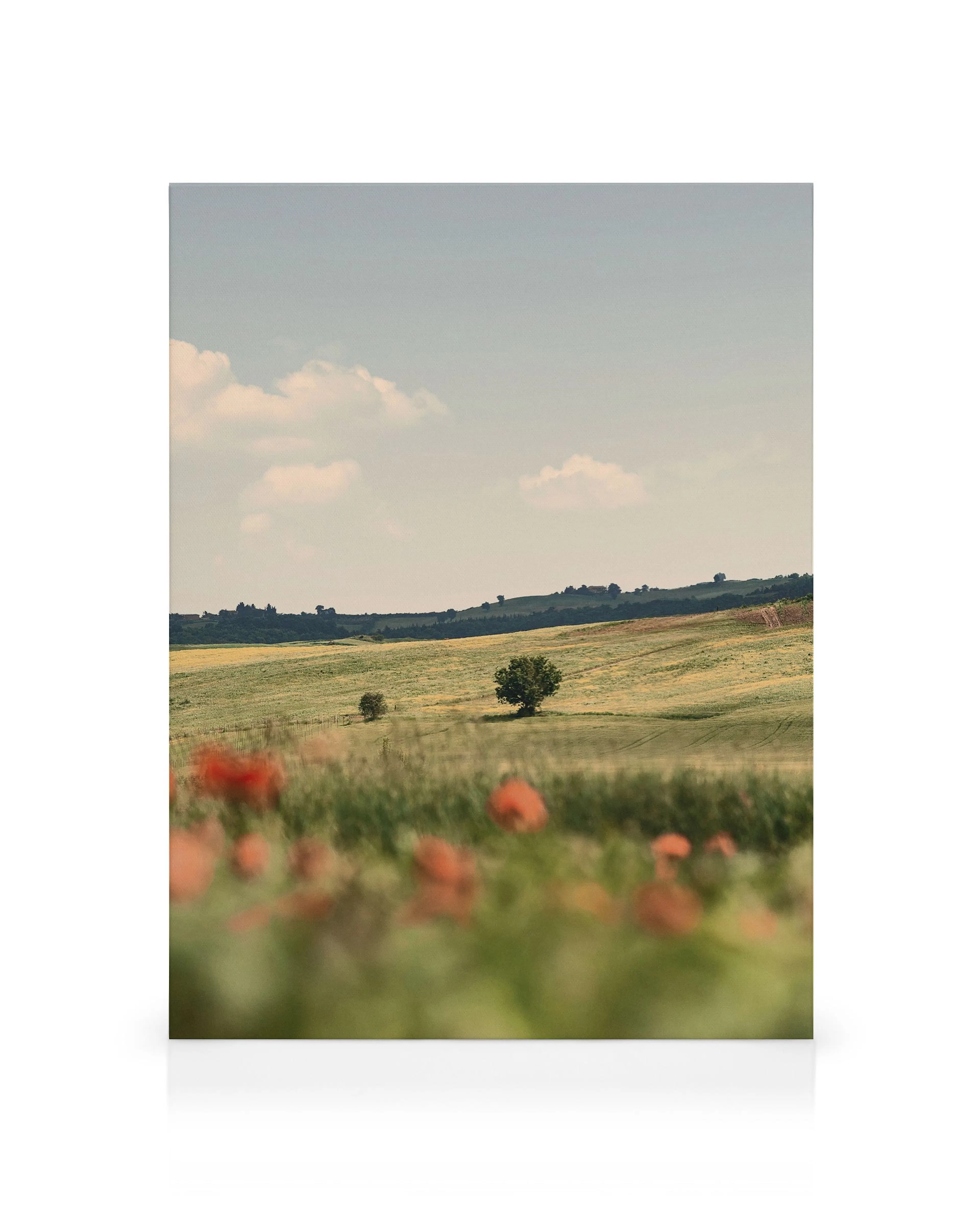 Product image: 1