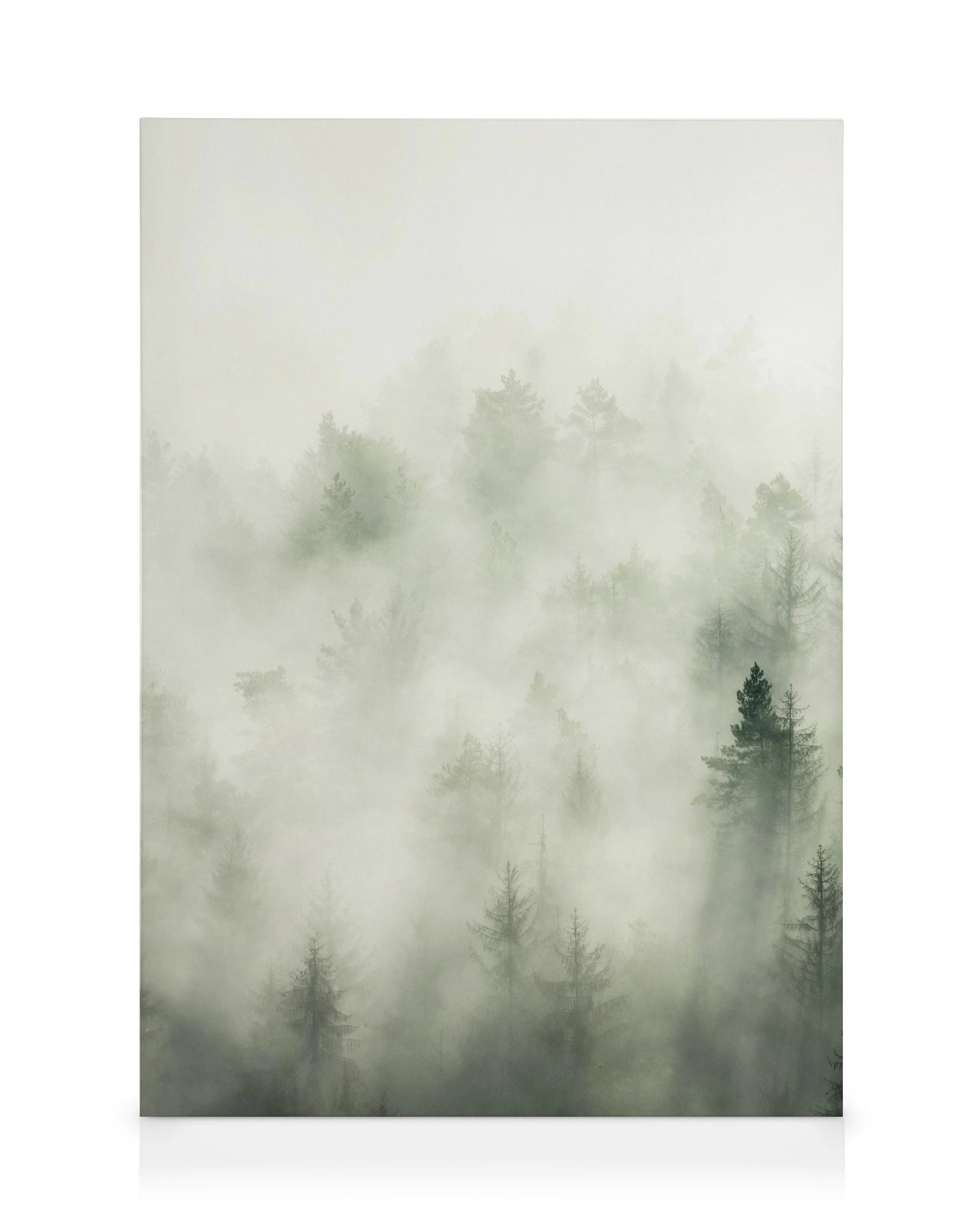 Product image: 1