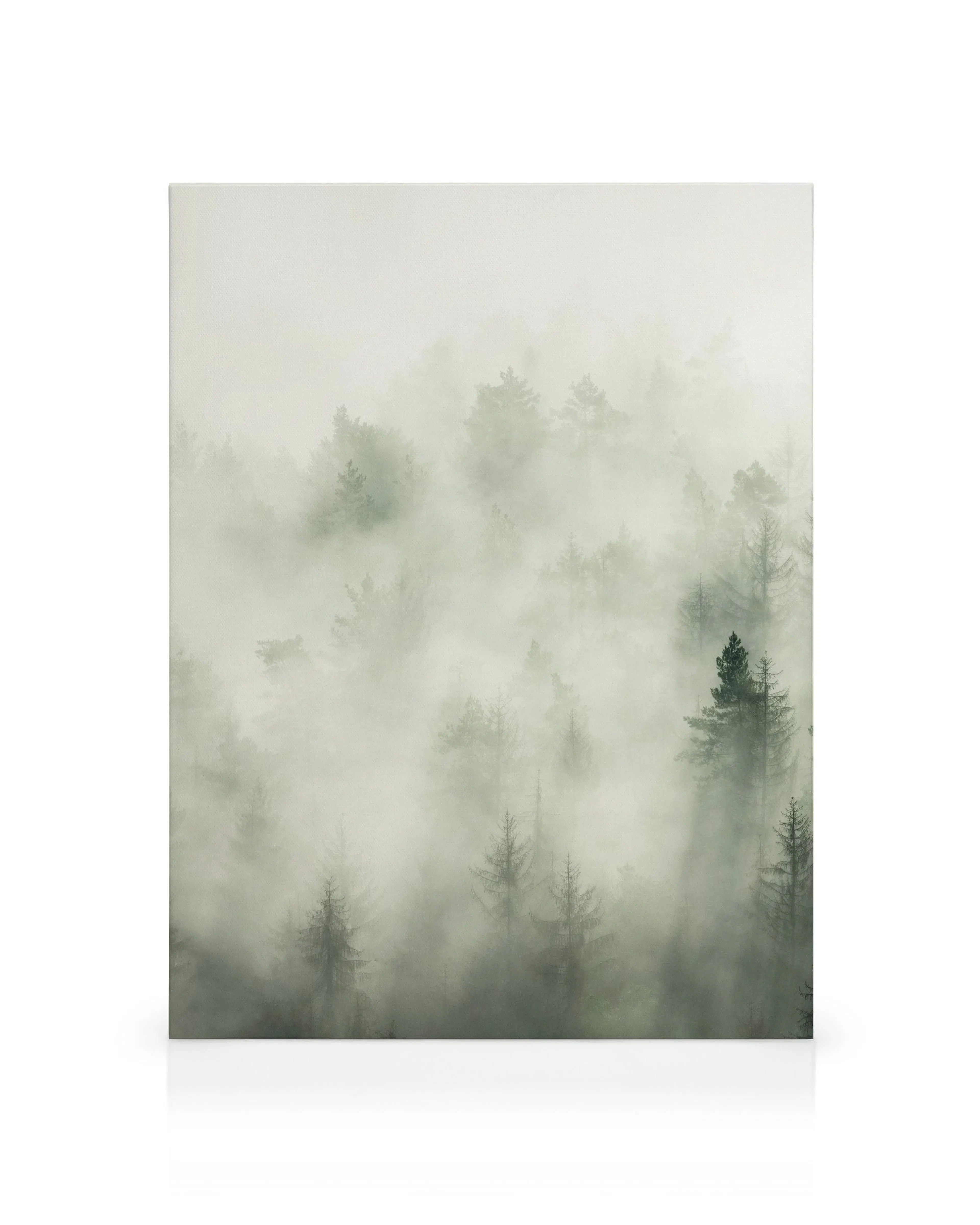 Product image: 1