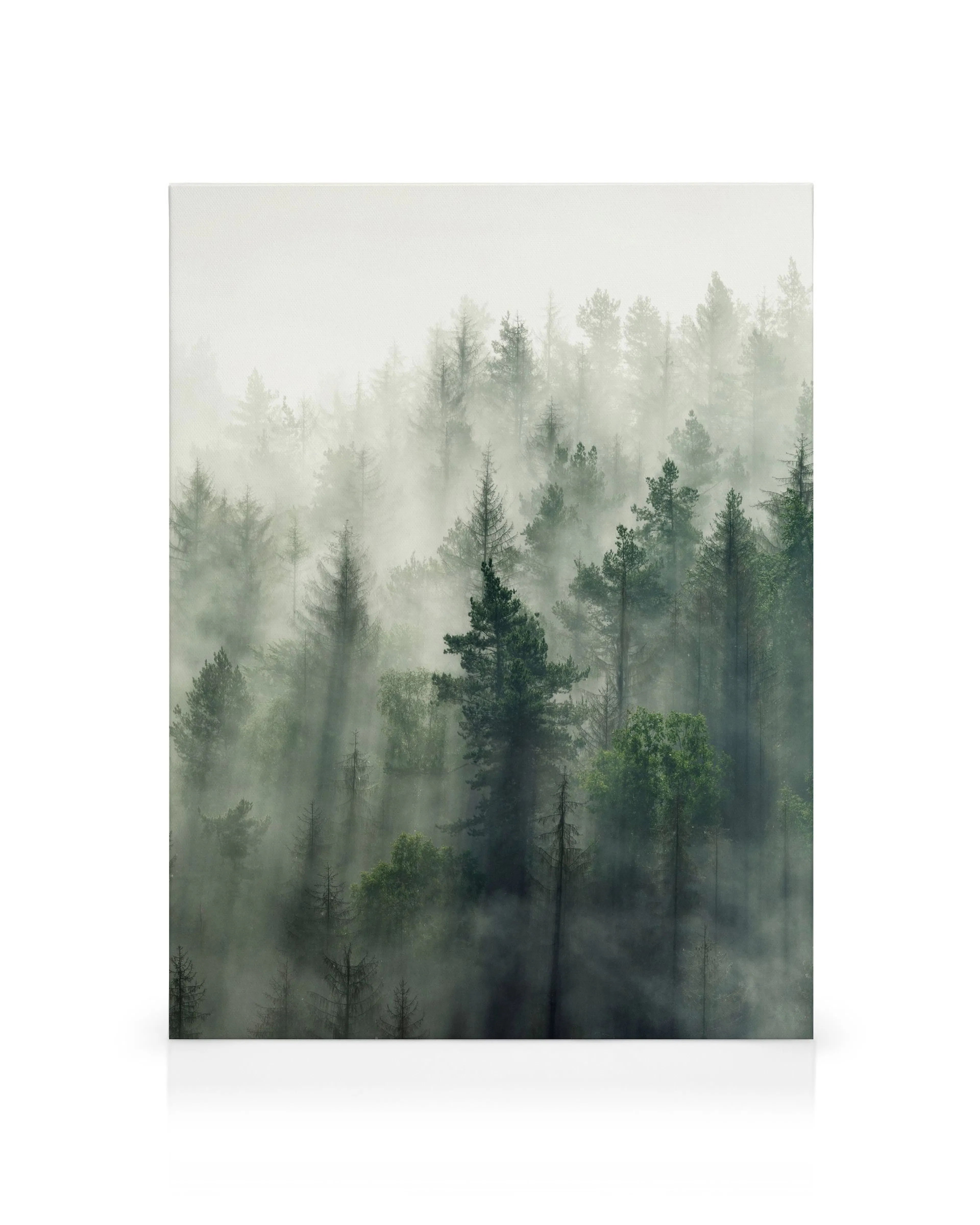 Product image: 1