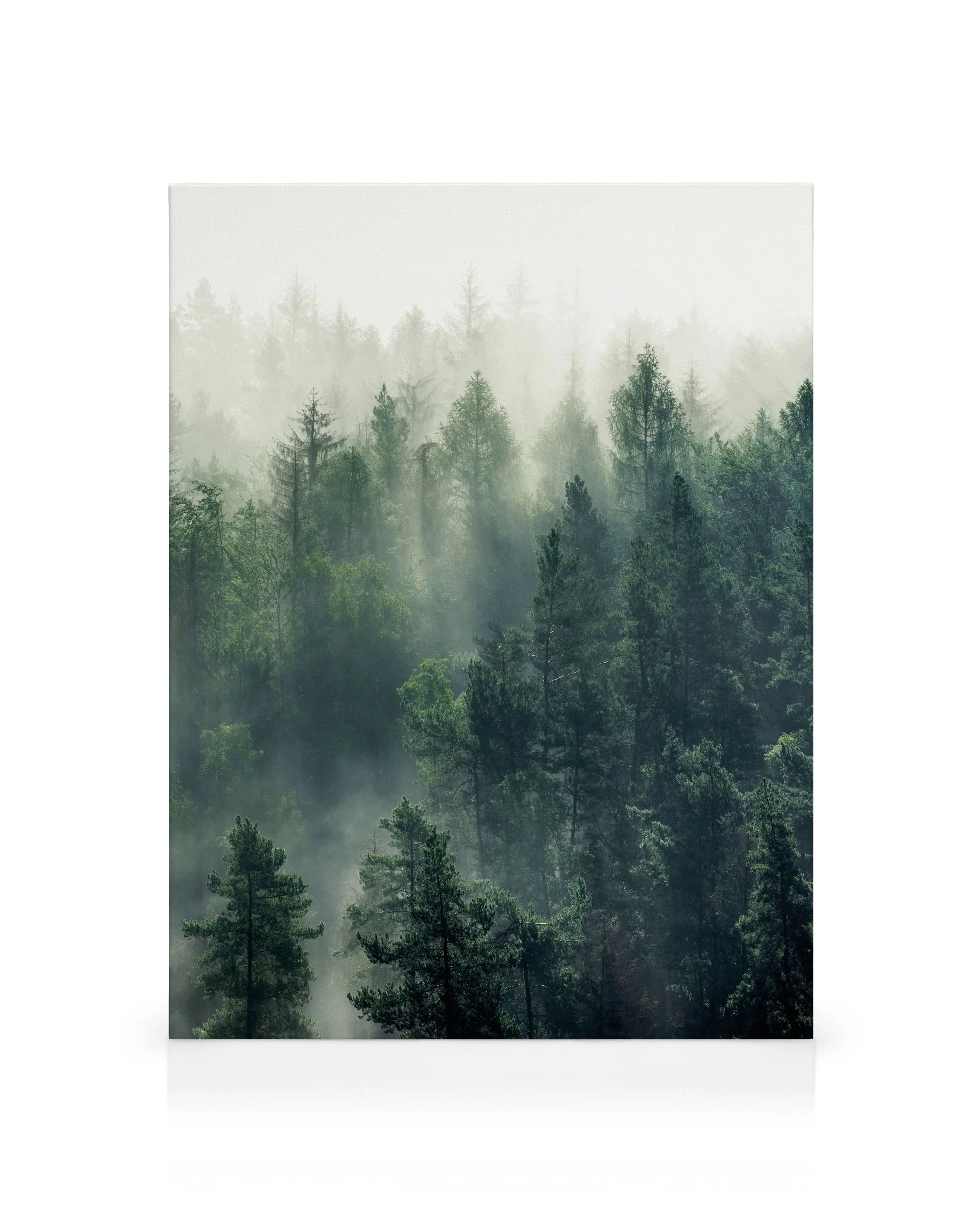 Product image: 1