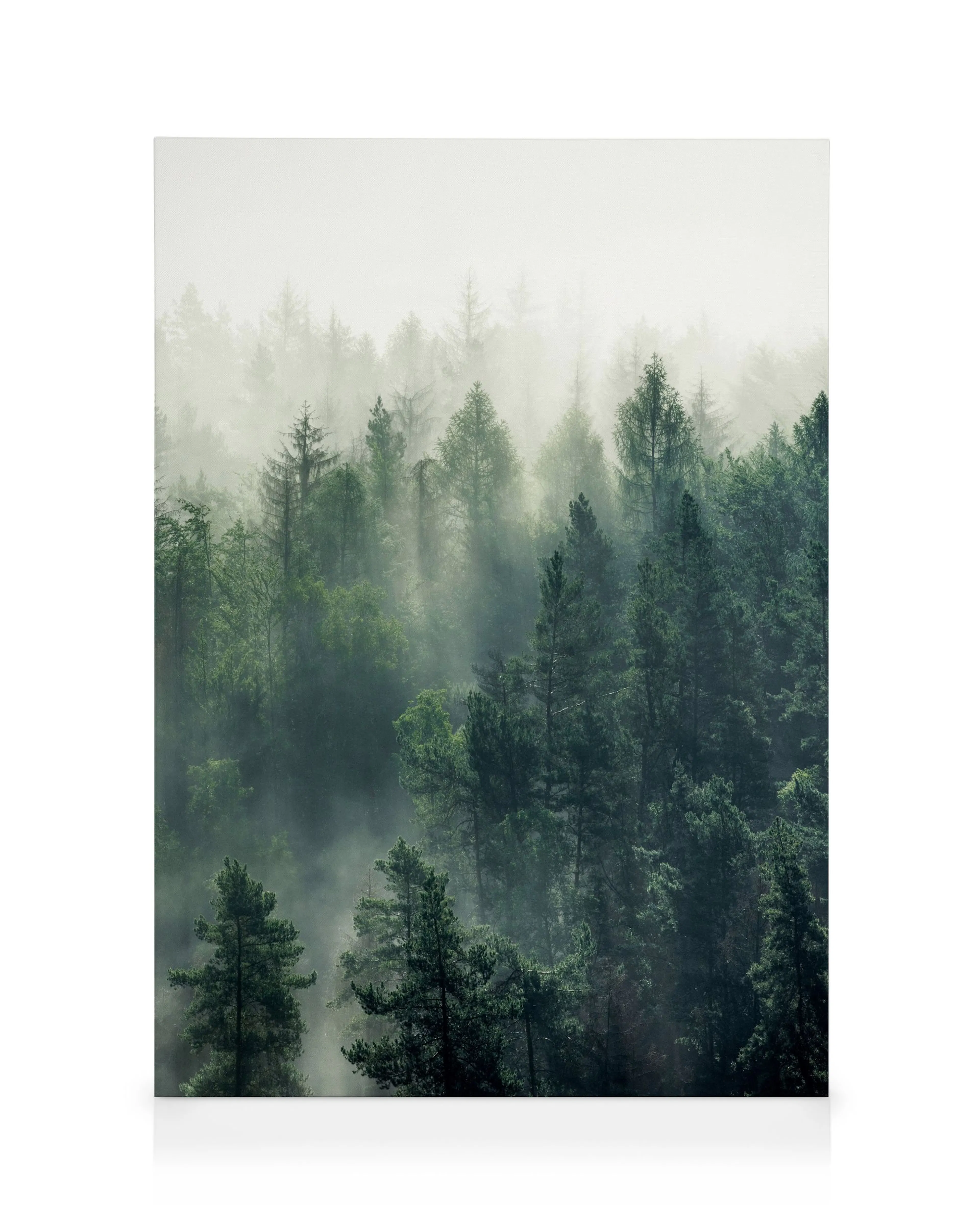 Product image: 4