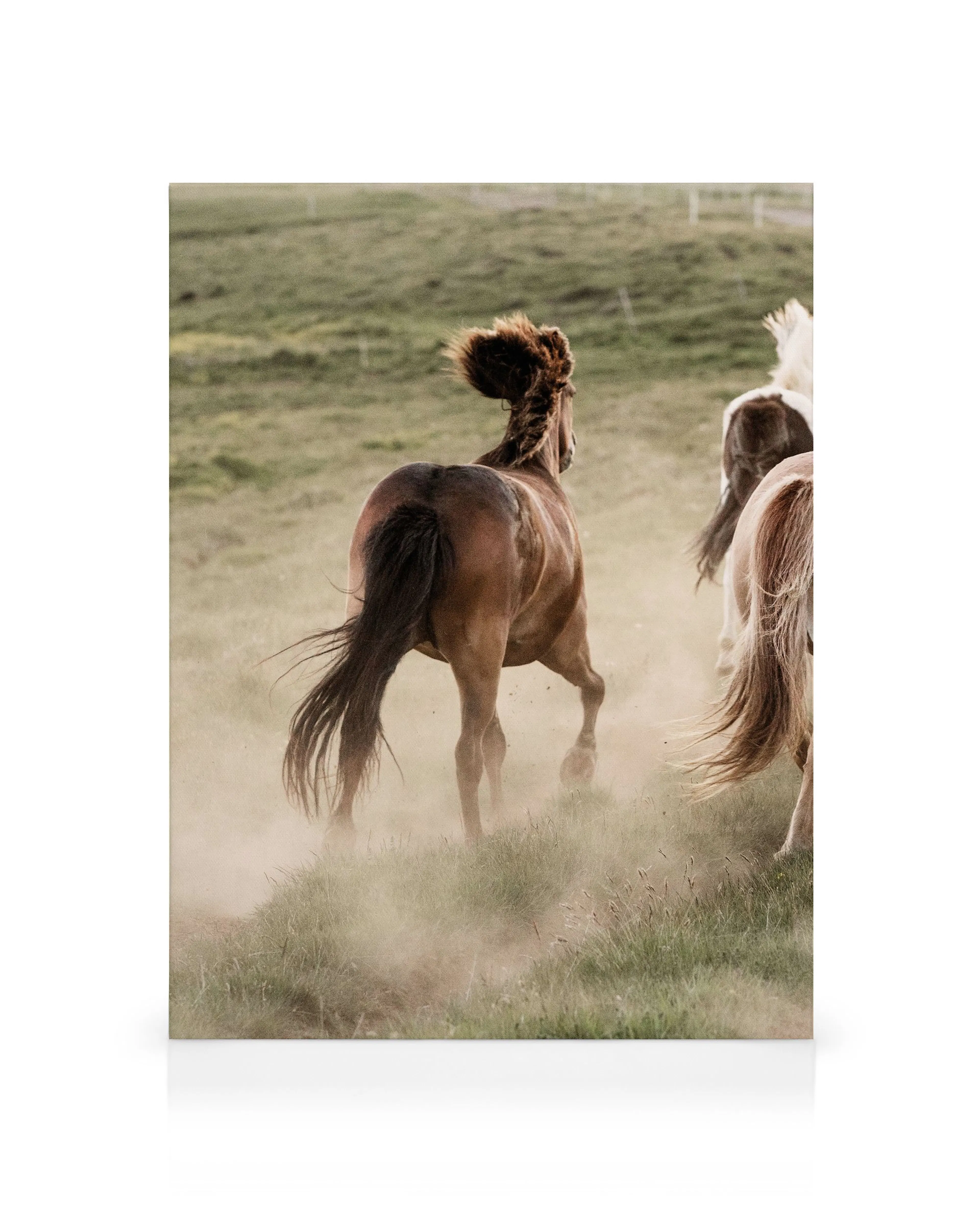 Product image: 1