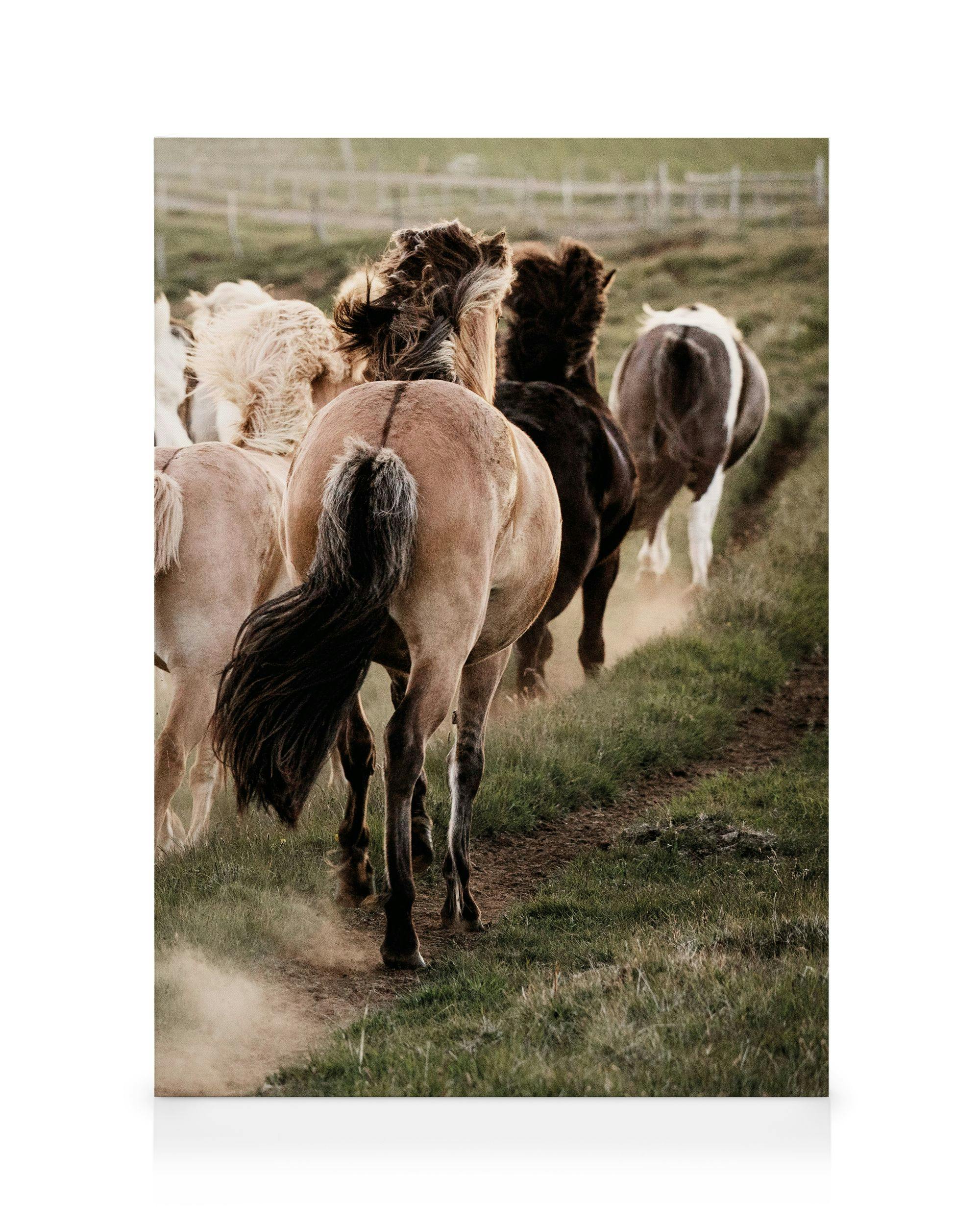 Canvas Schilderijen In Motion No3 Canvas (50x70 cm - Fotolijst Zwart)