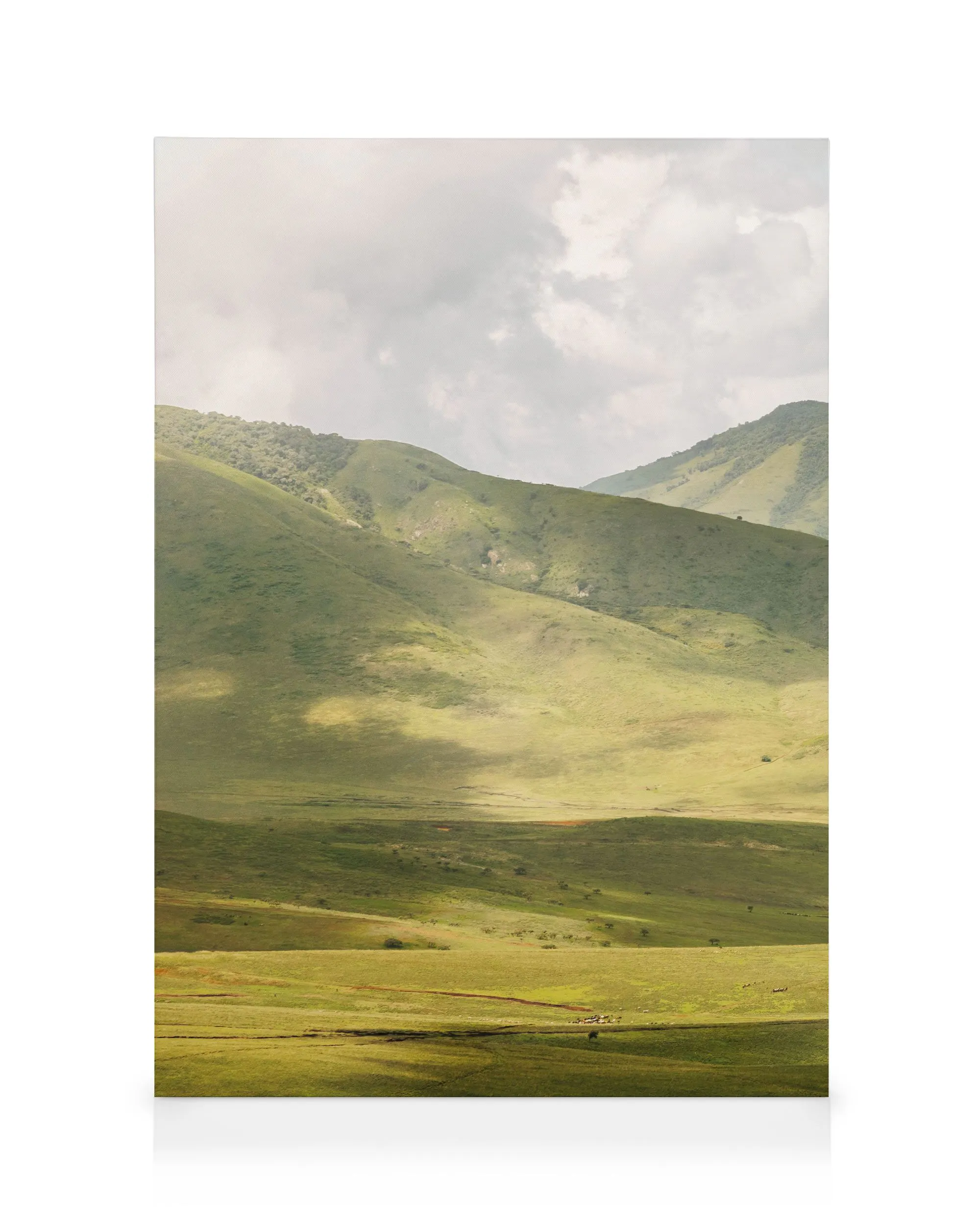 Highlands No1 Lærred 0