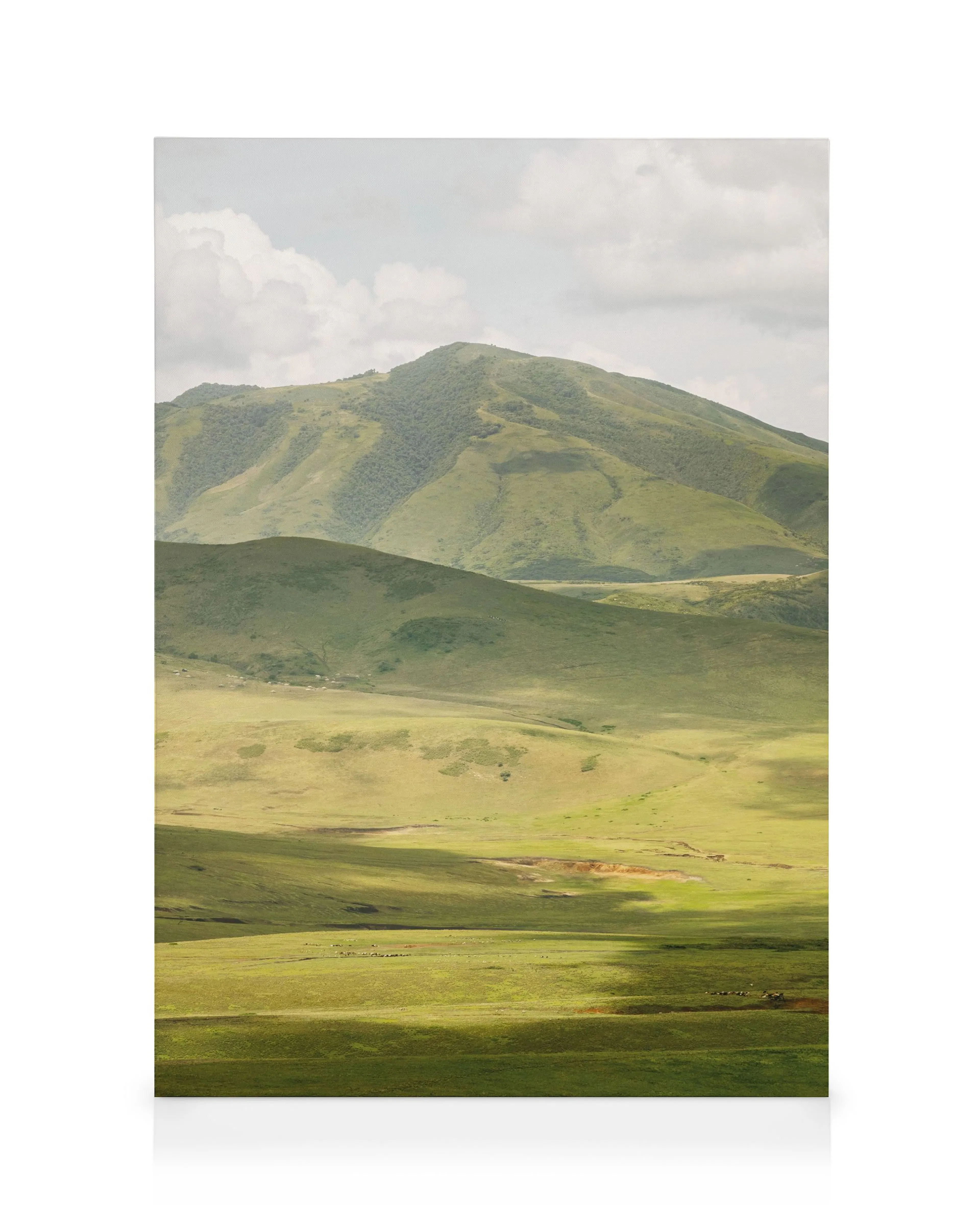 Highlands No2 Lærred 0