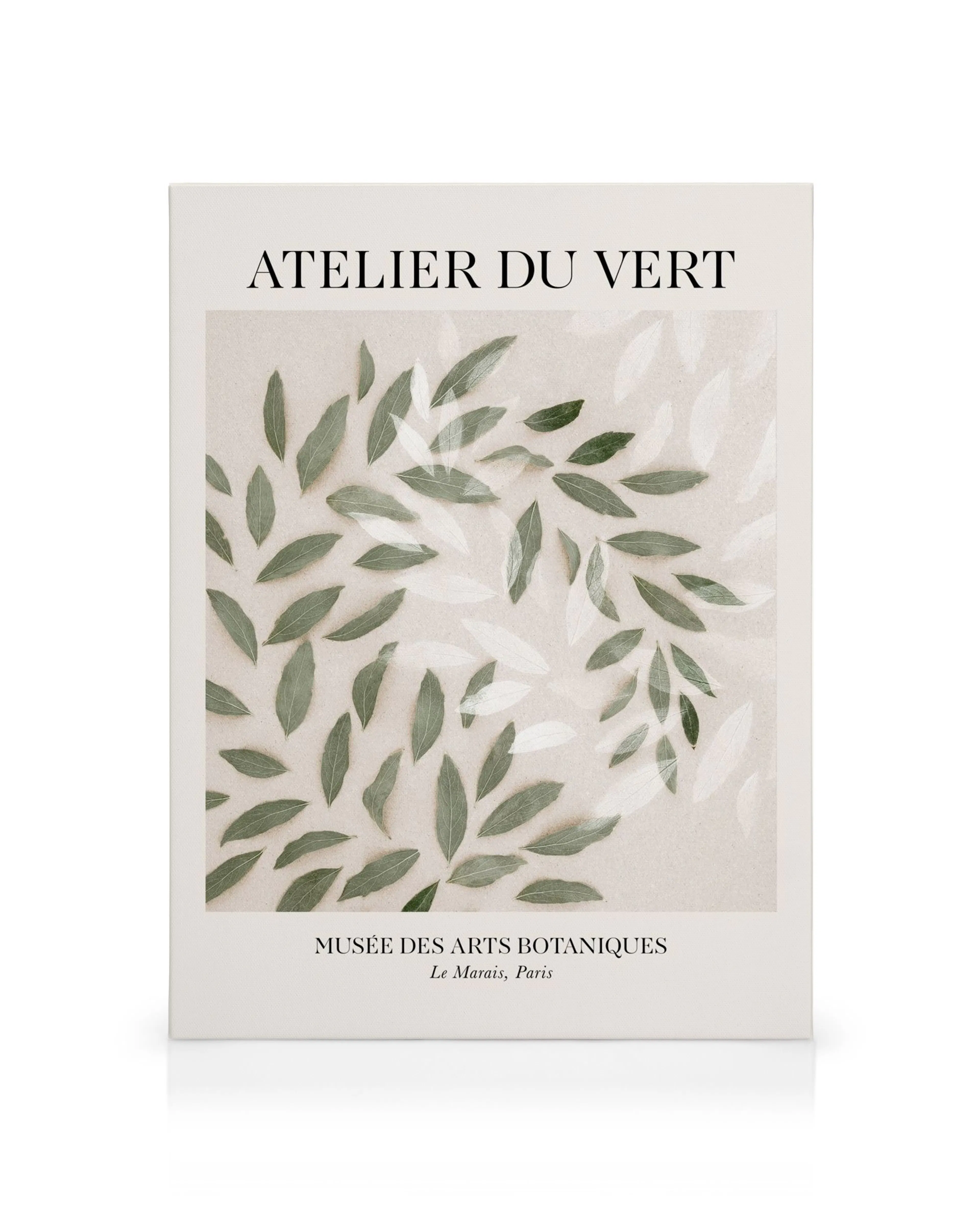 A canvas print featuring green and white leaves artfully arranged on a light beige background with French text