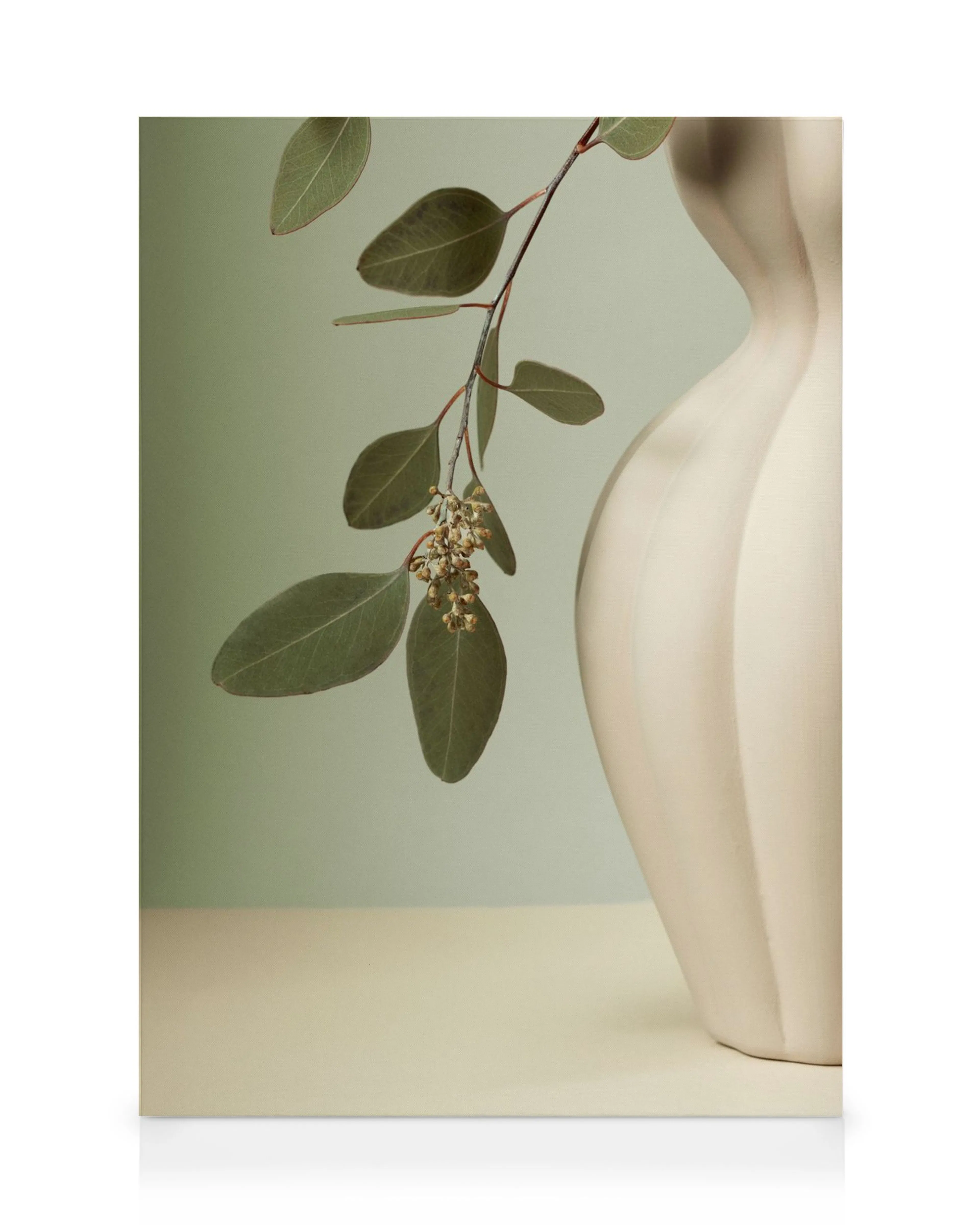 A canvas print featuring a eucalyptus branch with green leaves and small flowers, next to a cream ribbed vase.