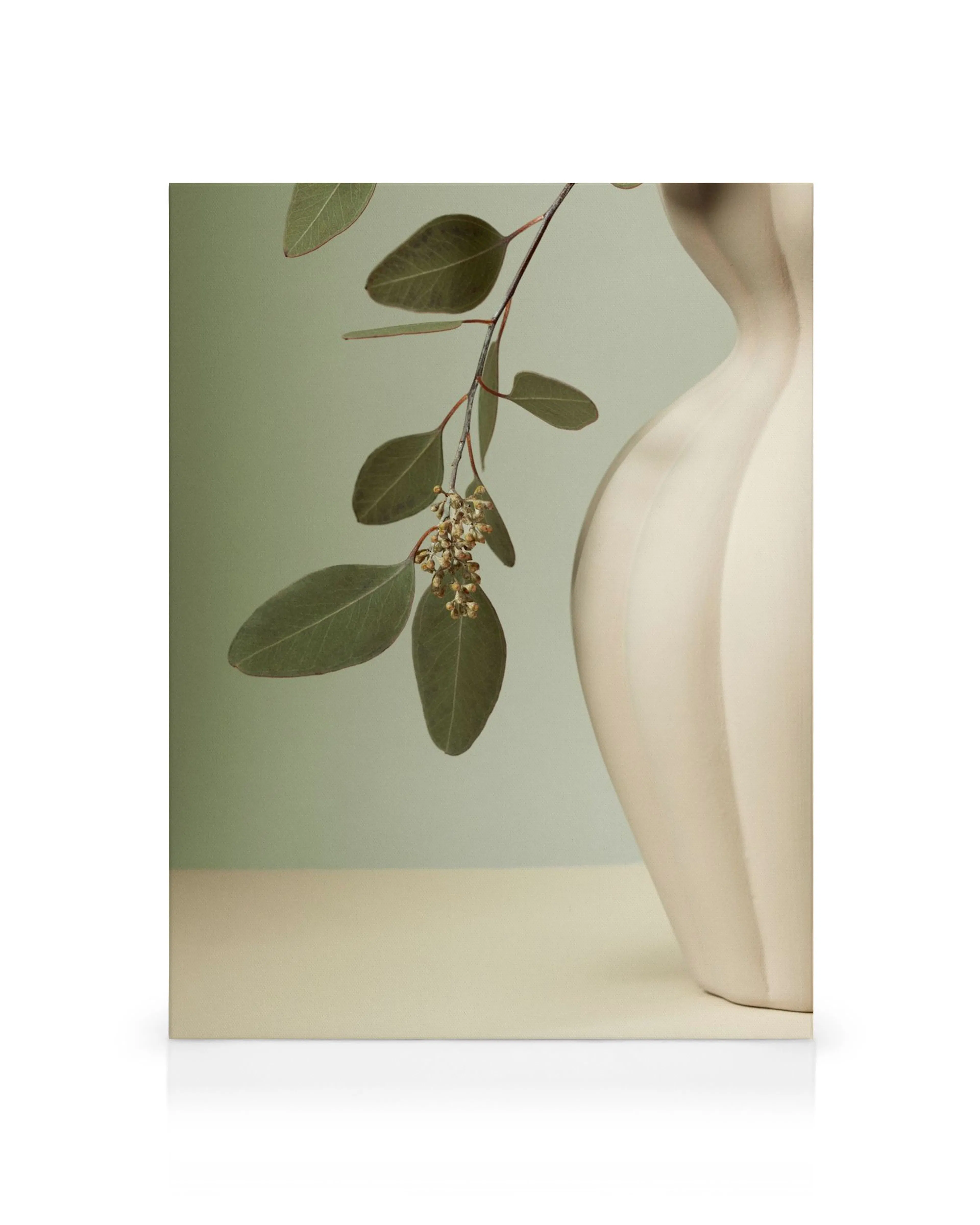 A canvas print featuring a eucalyptus branch with green leaves and buds, next to a beige ribbed vase.