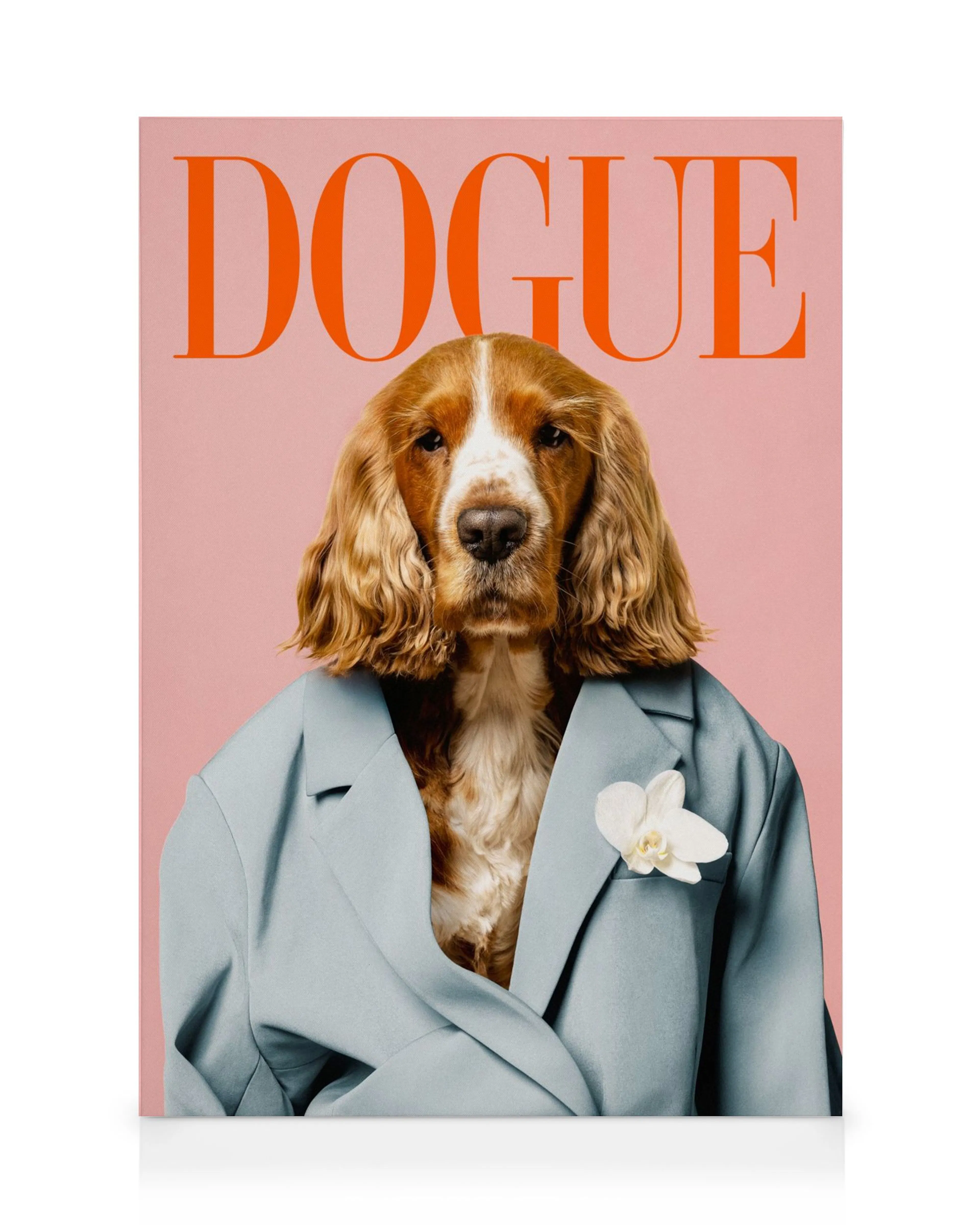 Lienzo de un perro cocker spaniel con chaqueta azul y orquídea blanca, sobre fondo rosa con el título Dogue.