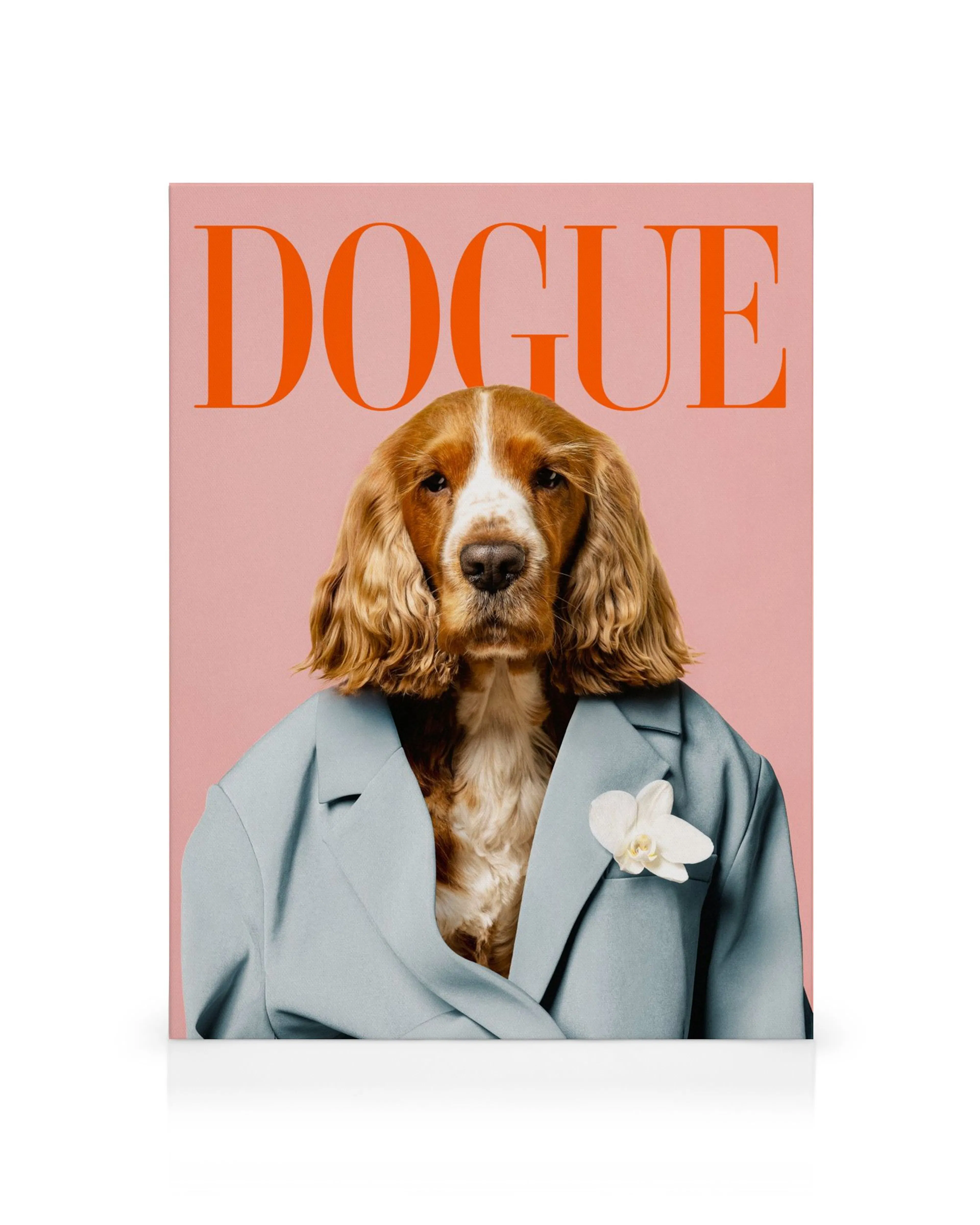 A canvas print featuring a brown and white cocker spaniel wearing a light blue blazer with a white orchid, against a pink backgr