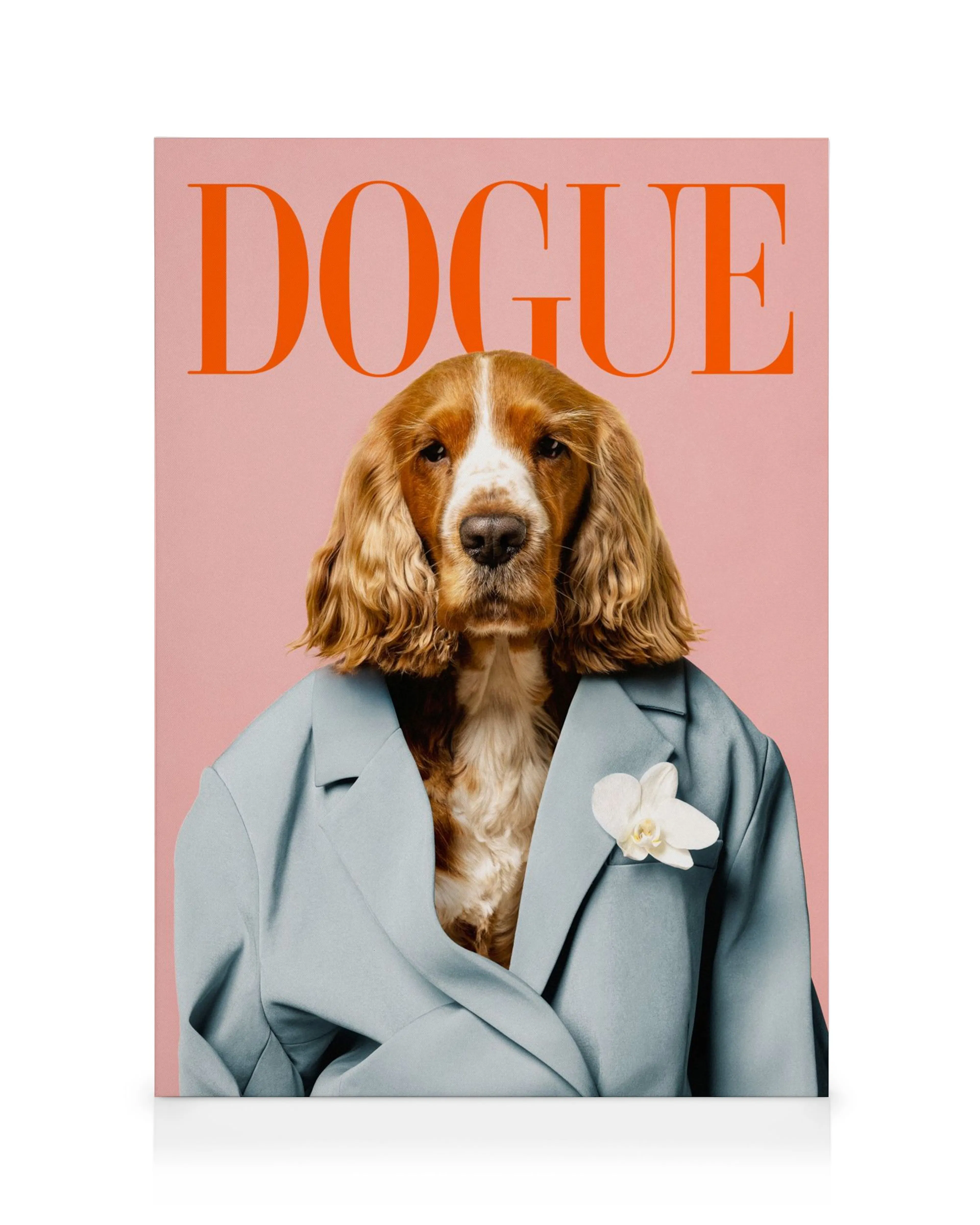 A canvas print featuring a stylish Cocker Spaniel in a blue suit with a white orchid, against a pink background with DOGUE text.