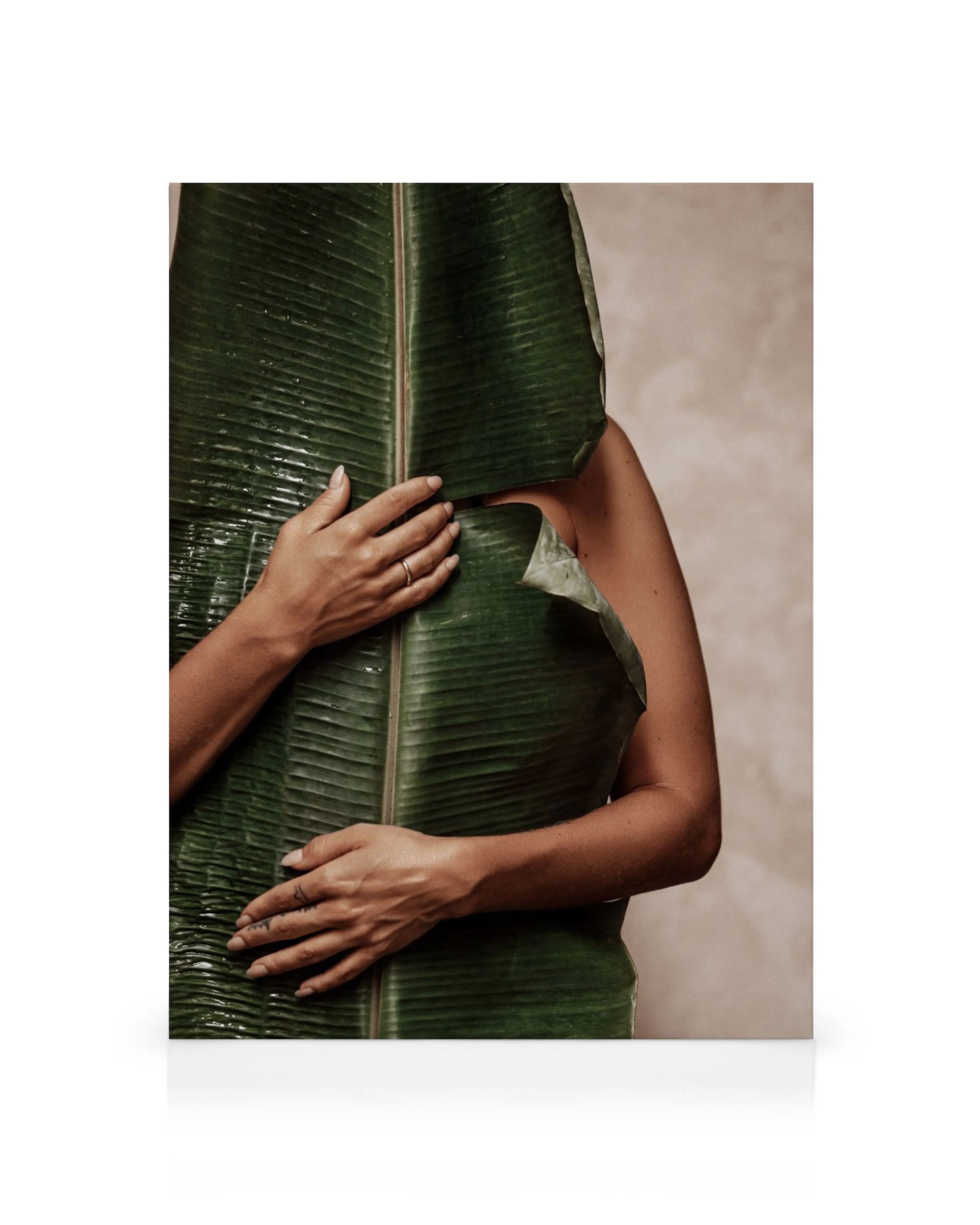 A canvas print featuring a person holding a large green banana leaf, covering their face and body.