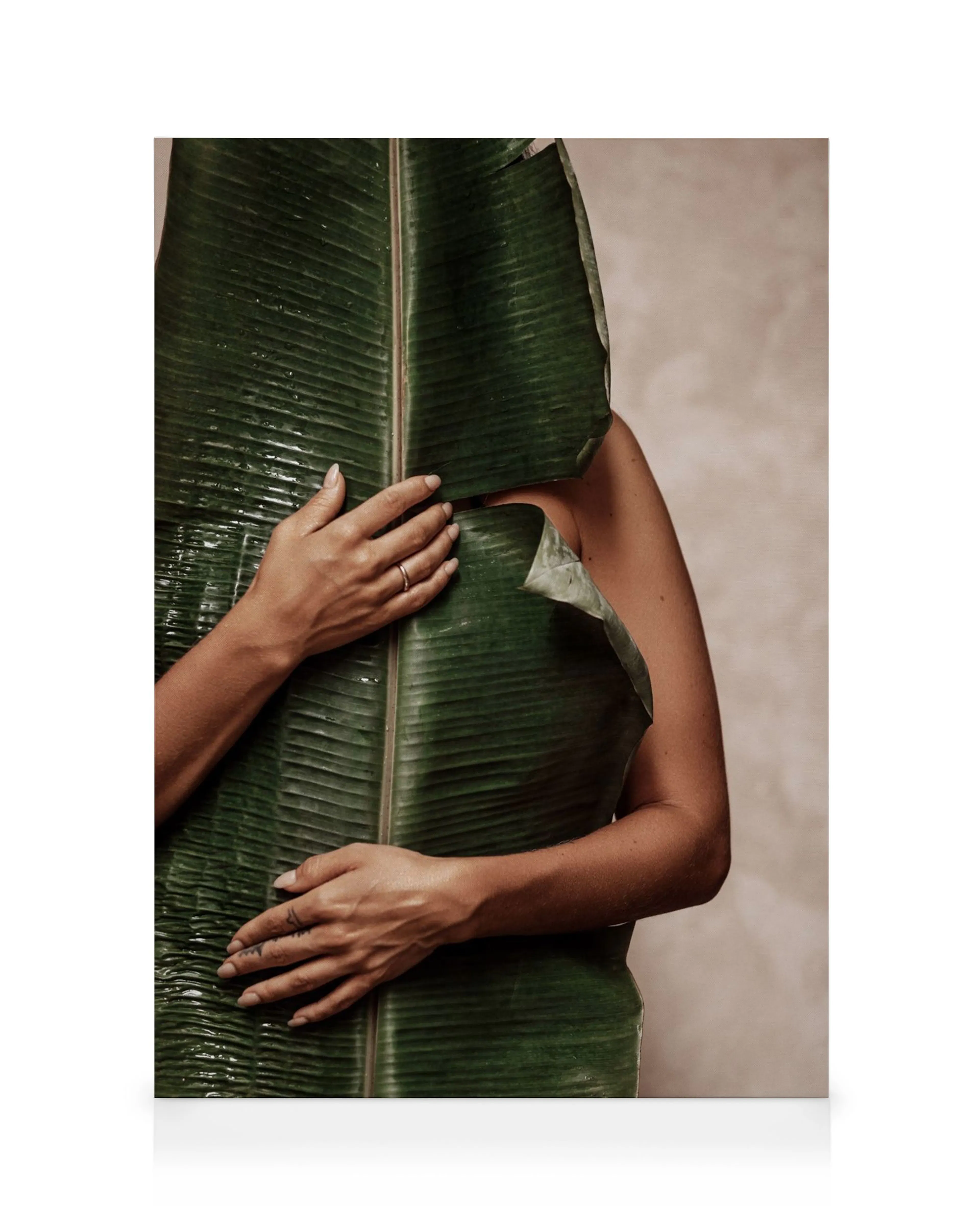 A canvas print of a person holding a large green banana leaf, partially covering their face and body.