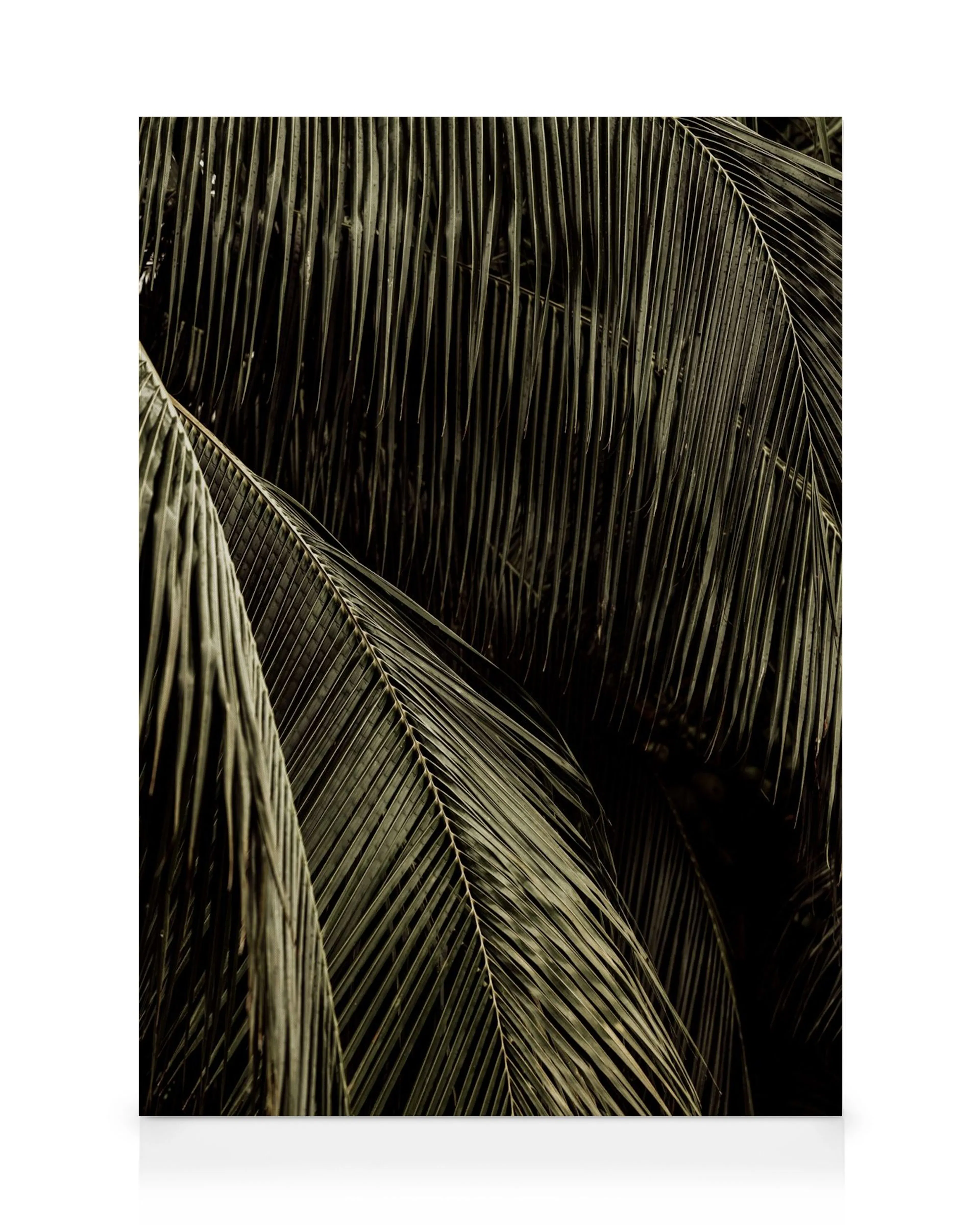 Stampa su tela con foglie di palma verde scuro dettagliate, che creano un motivo tropicale e rilassante.
