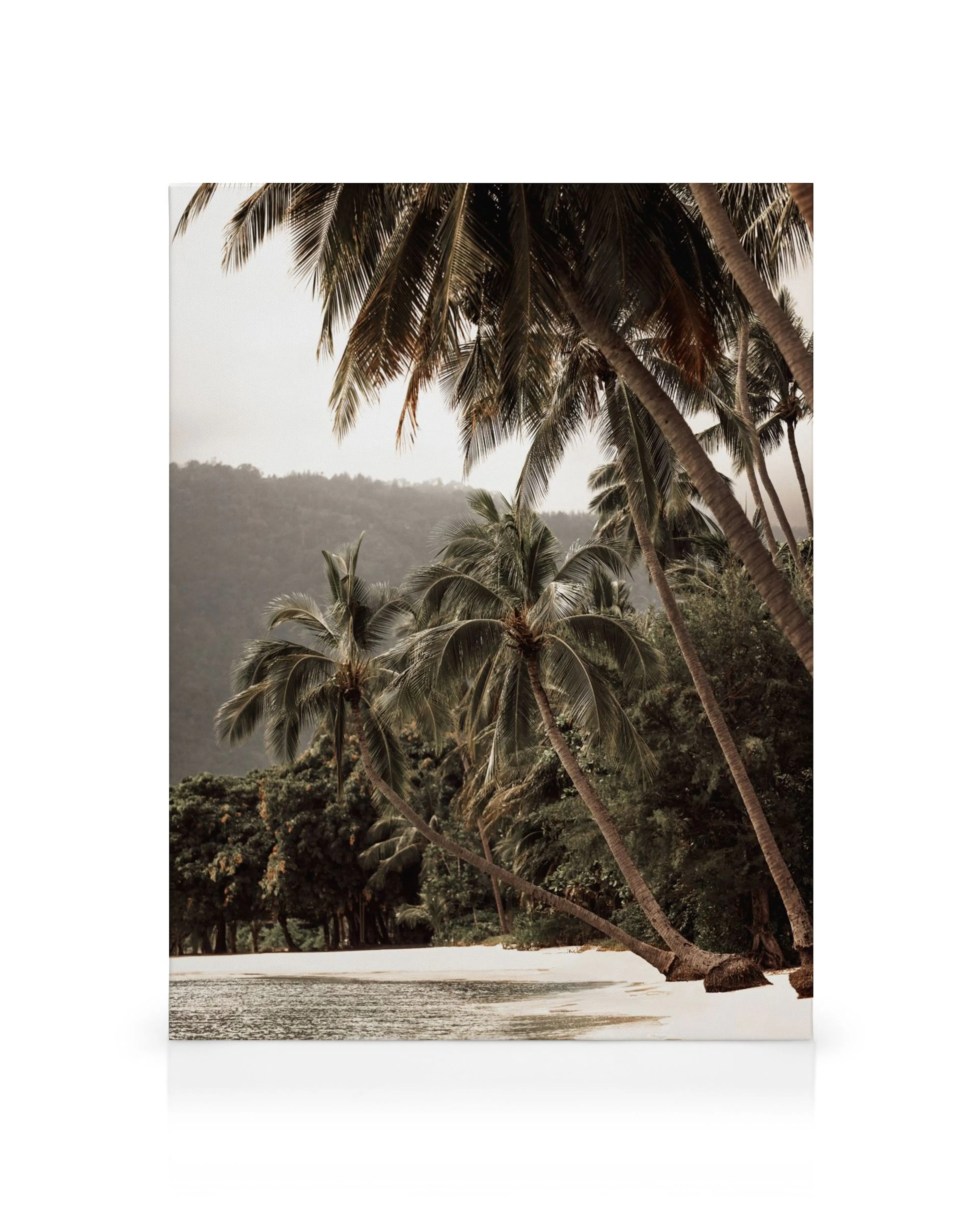 Toile de palmiers tropicaux sur une plage de sable blanc avec une montagne en arrière-plan.