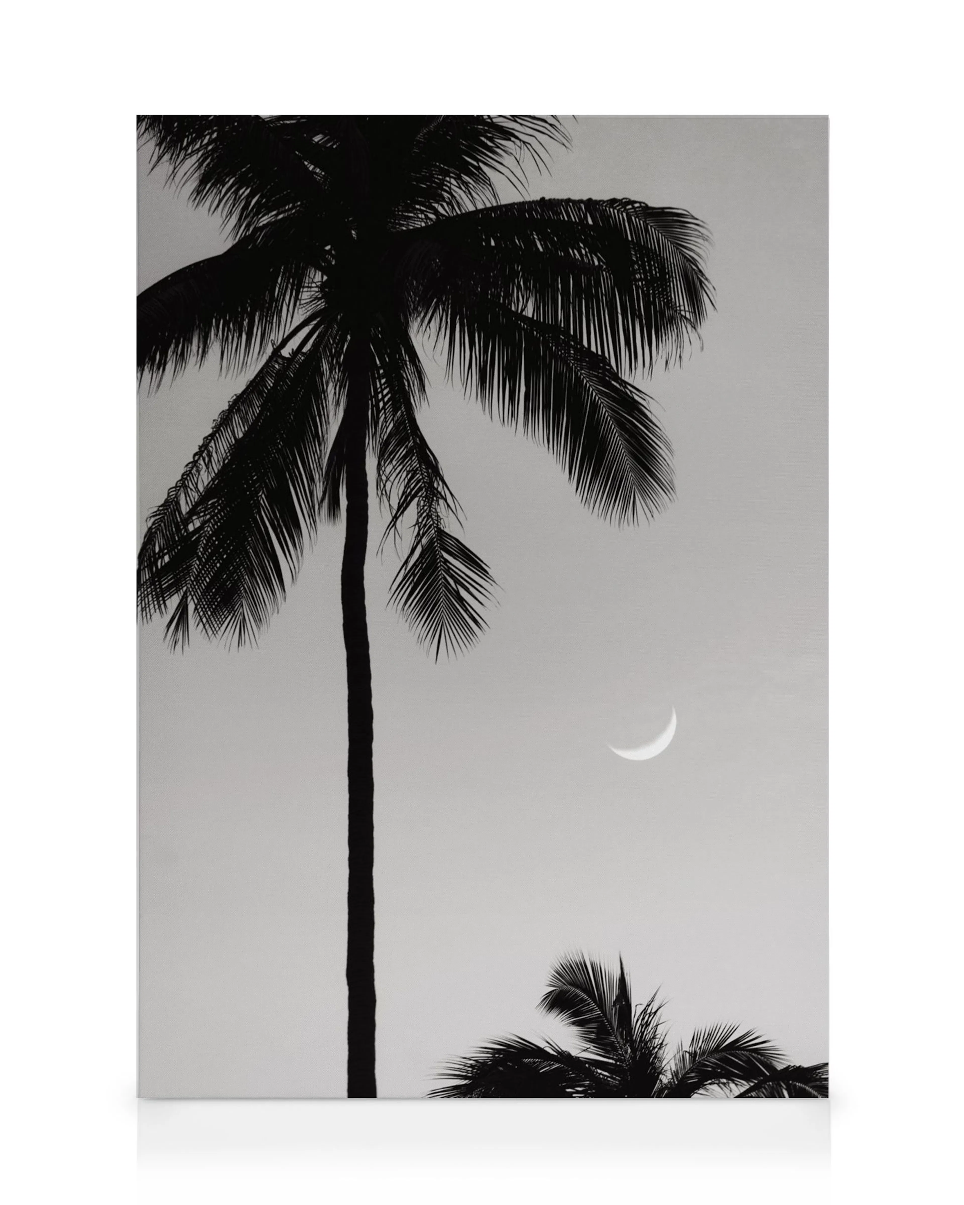 A black and white canvas print featuring palm tree silhouettes against a light sky with a crescent moon.