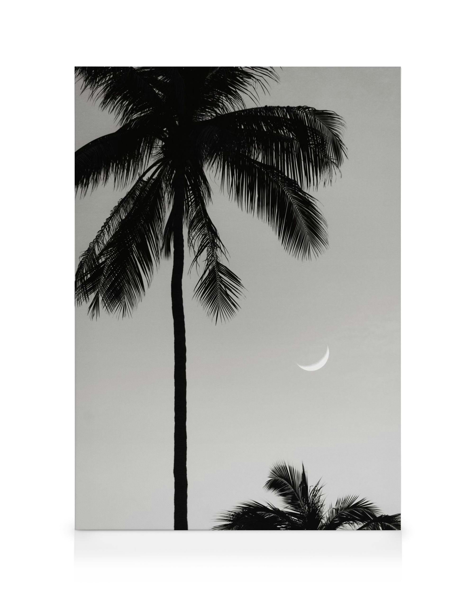 Canvas Schilderijen Moonlit Palms Canvas (100x140 cm - Fotolijst Eiken)