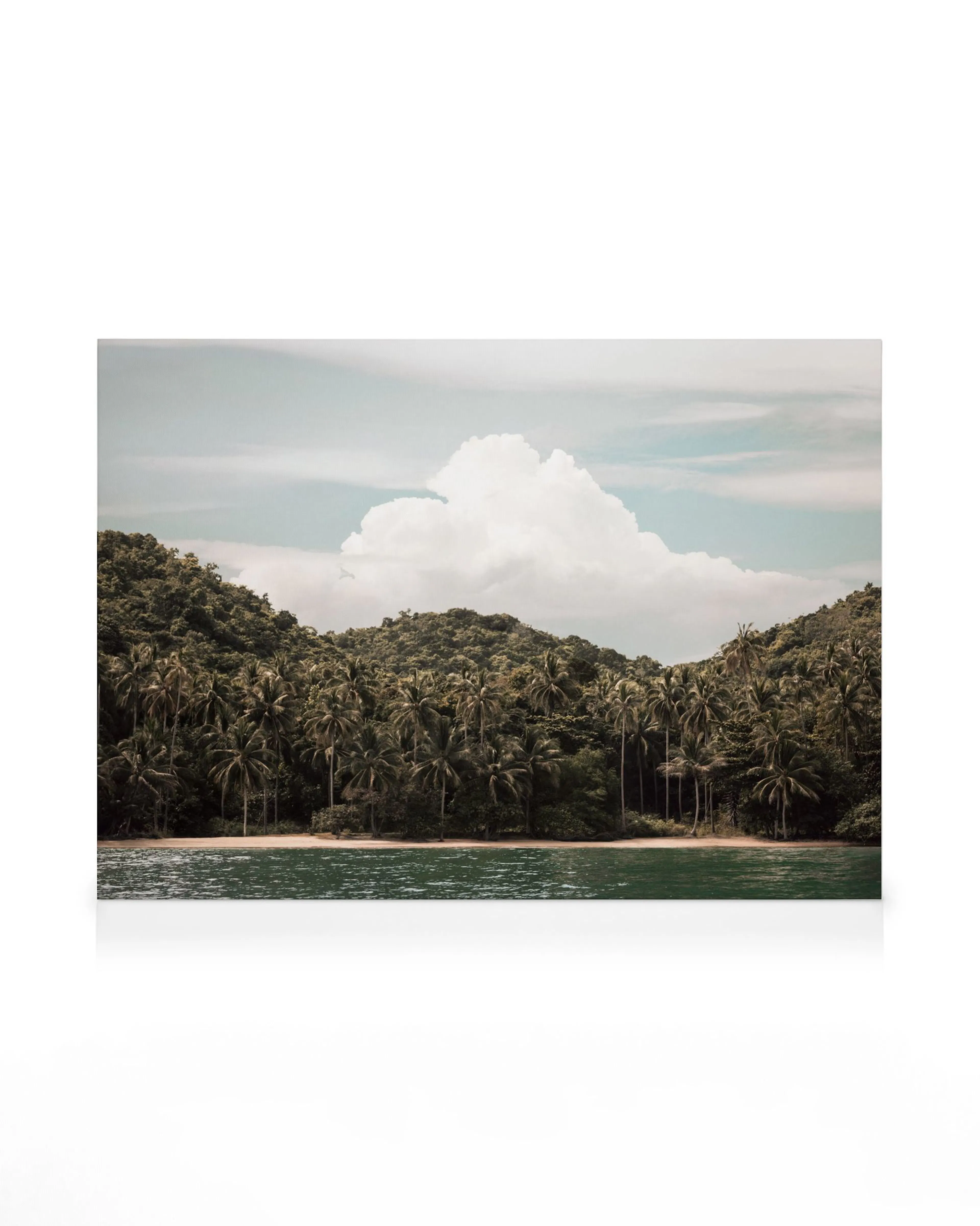 Lienzo de una playa tropical con palmeras verdes y agua azul turquesa bajo un cielo nublado.