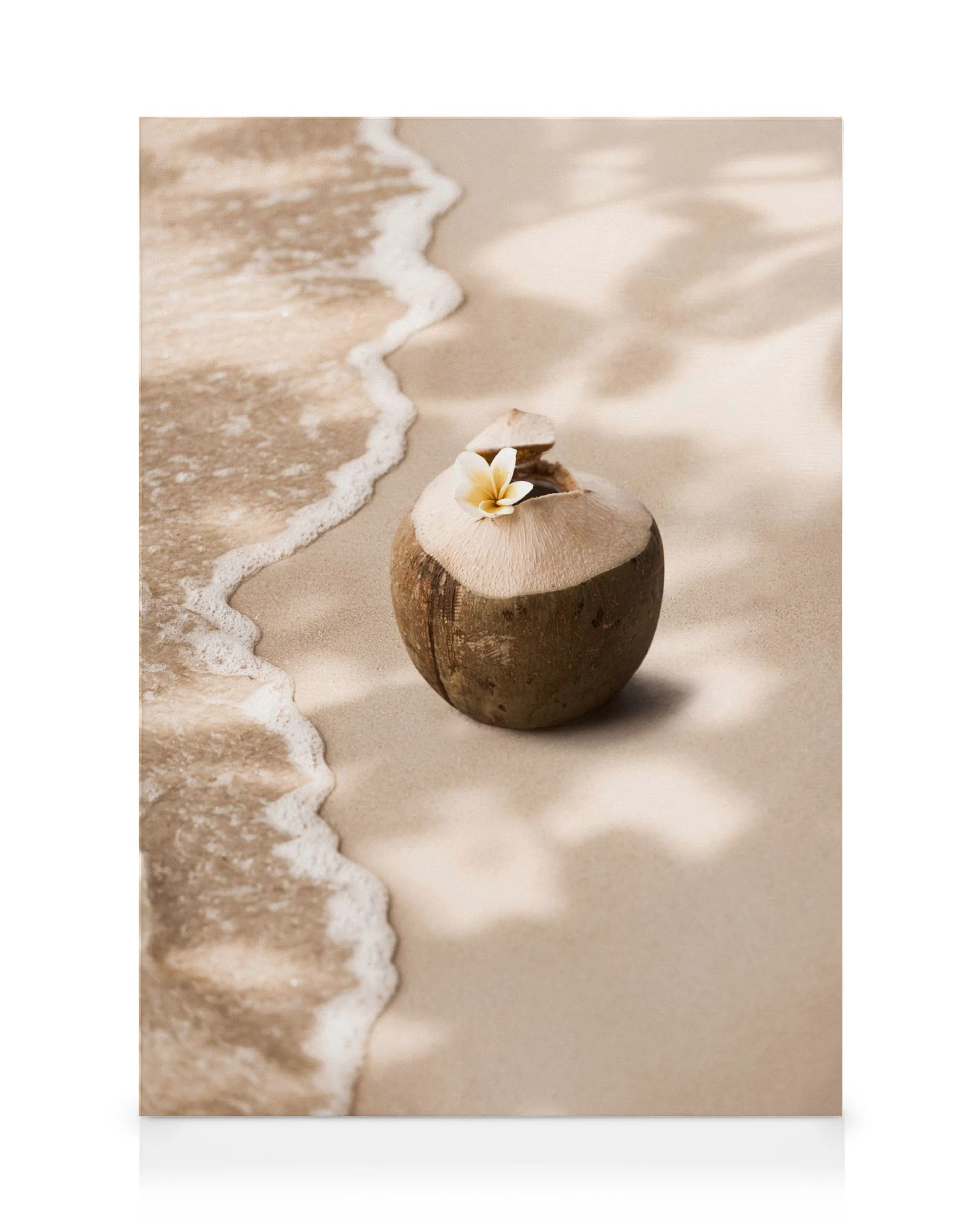 Lienzo de un coco abierto con una flor blanca en la parte superior, sobre arena de playa con la orilla del mar y sombras.