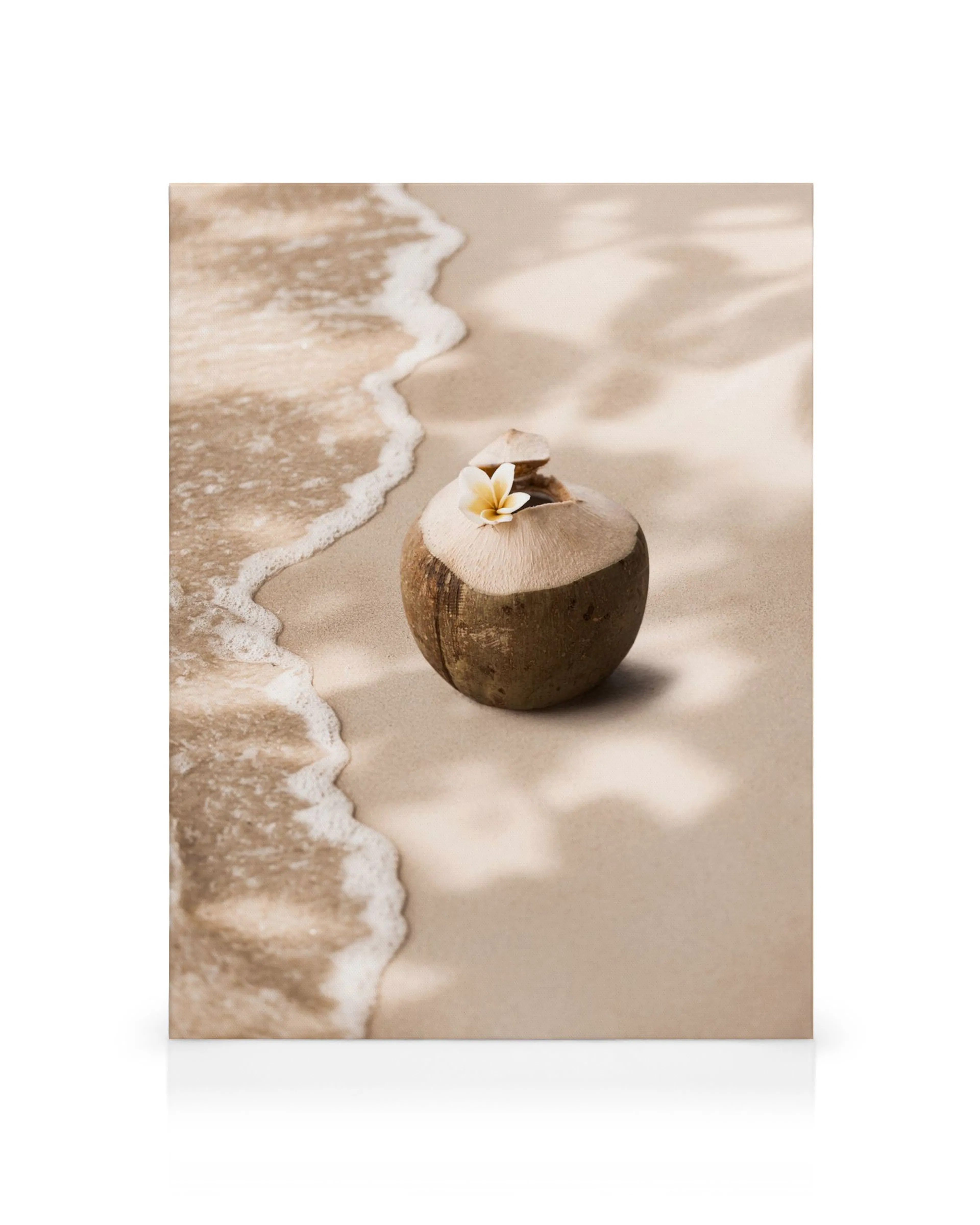 A canvas print featuring a coconut with a frangipani flower on a sandy beach with ocean waves and palm shadows.